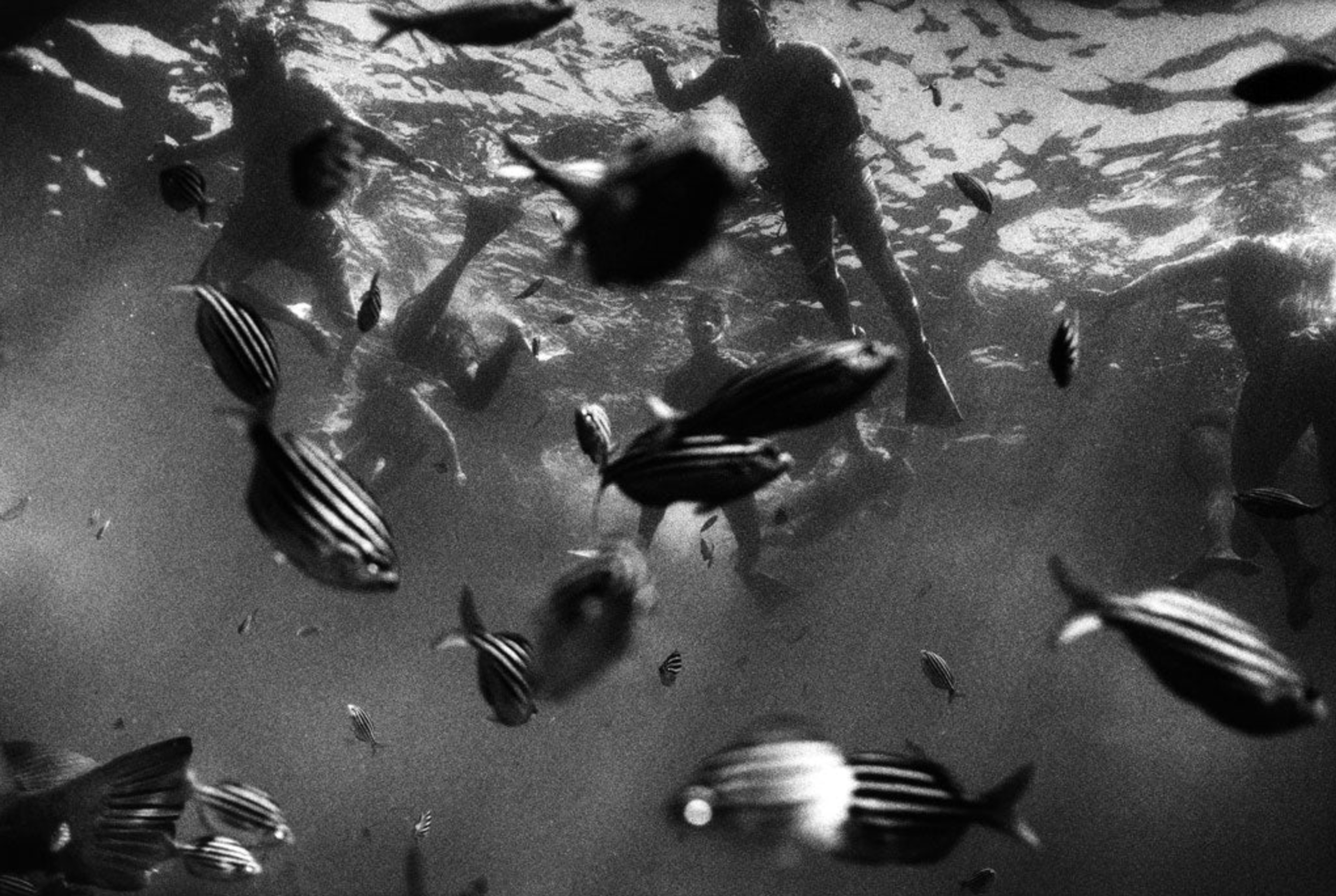 image-a1bc5333511887706e3481d8f5e3004a4f515ea4-2040x1368-png