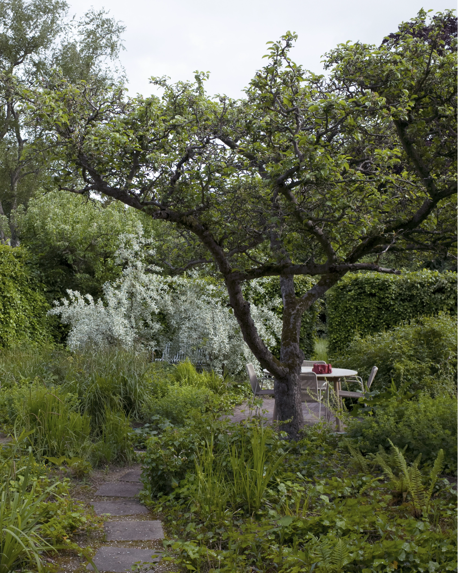 image-a2c5e18361e153e38705f499599f15869bb38d82-2426x3032-png