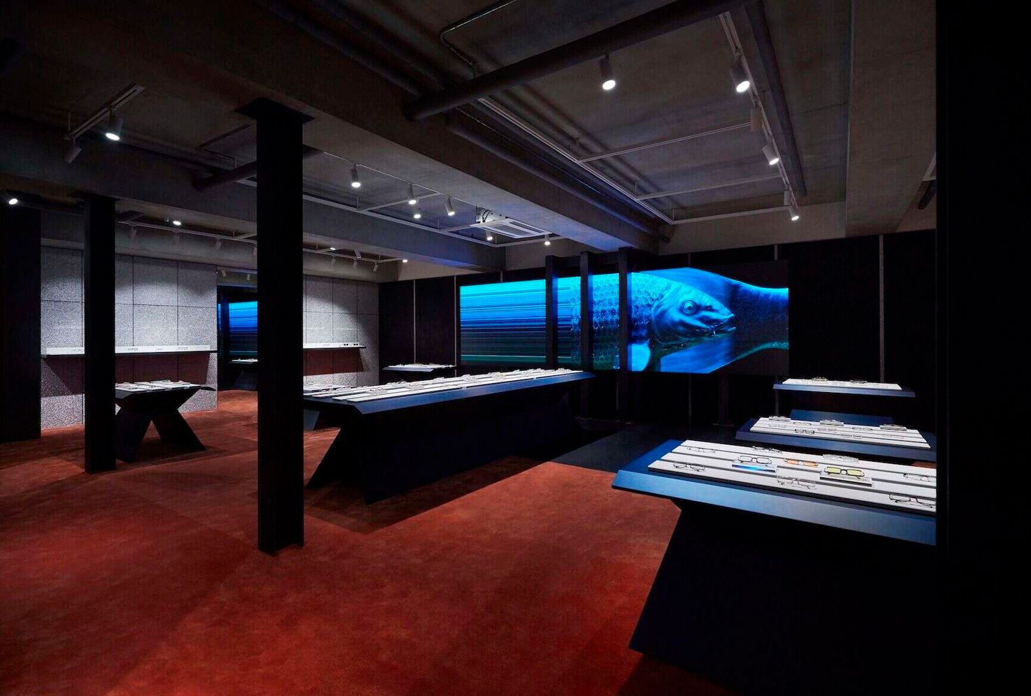 image-a72cd2275e241659d3484a05ceca12d42e55b0da-1800x1168-jpg