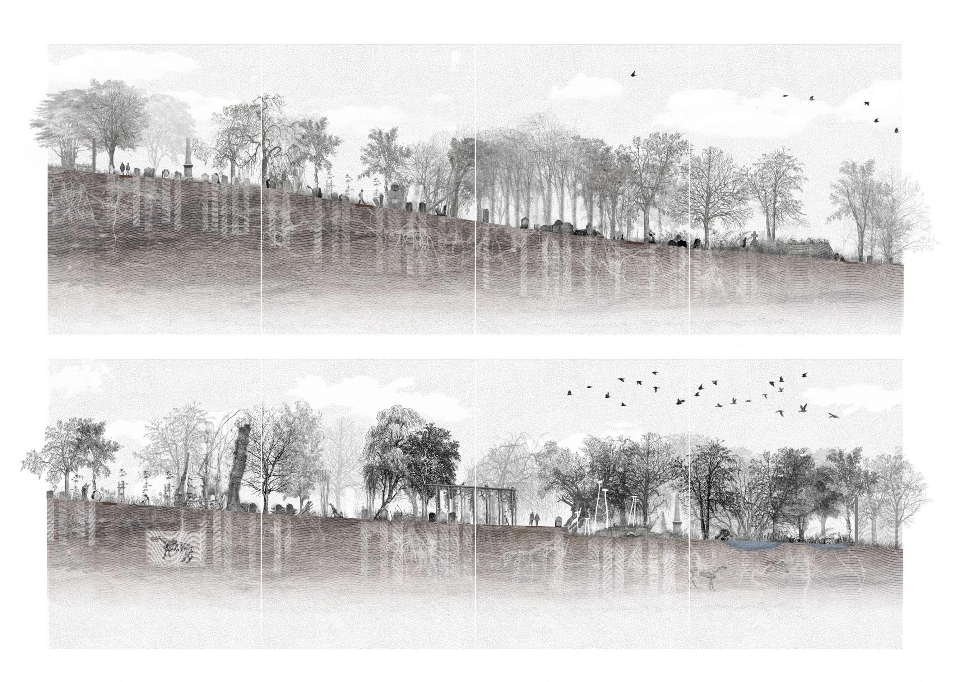 image-a8293cb1cc33d26ece379e1c8c788750db3e76d1-2250x1606-jpg