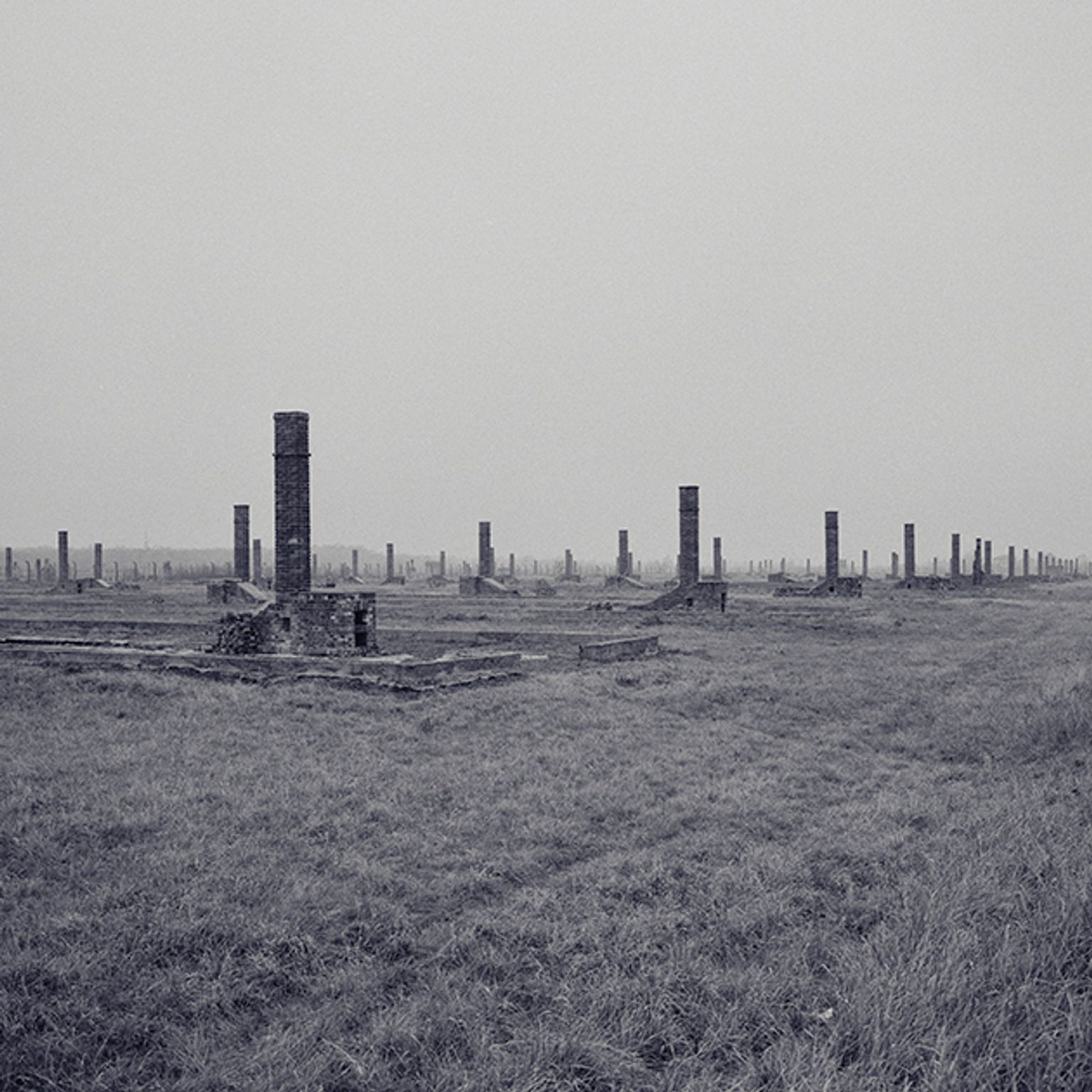 image-a956b26376c1d9937e88564d73553e077da576bd-630x630-jpg