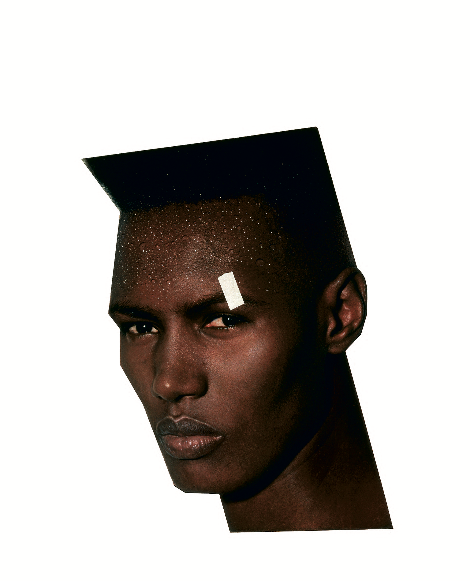 image-a9e36dc28b474b7e680e849a4fe46497038e3ab7-1538x1900-png