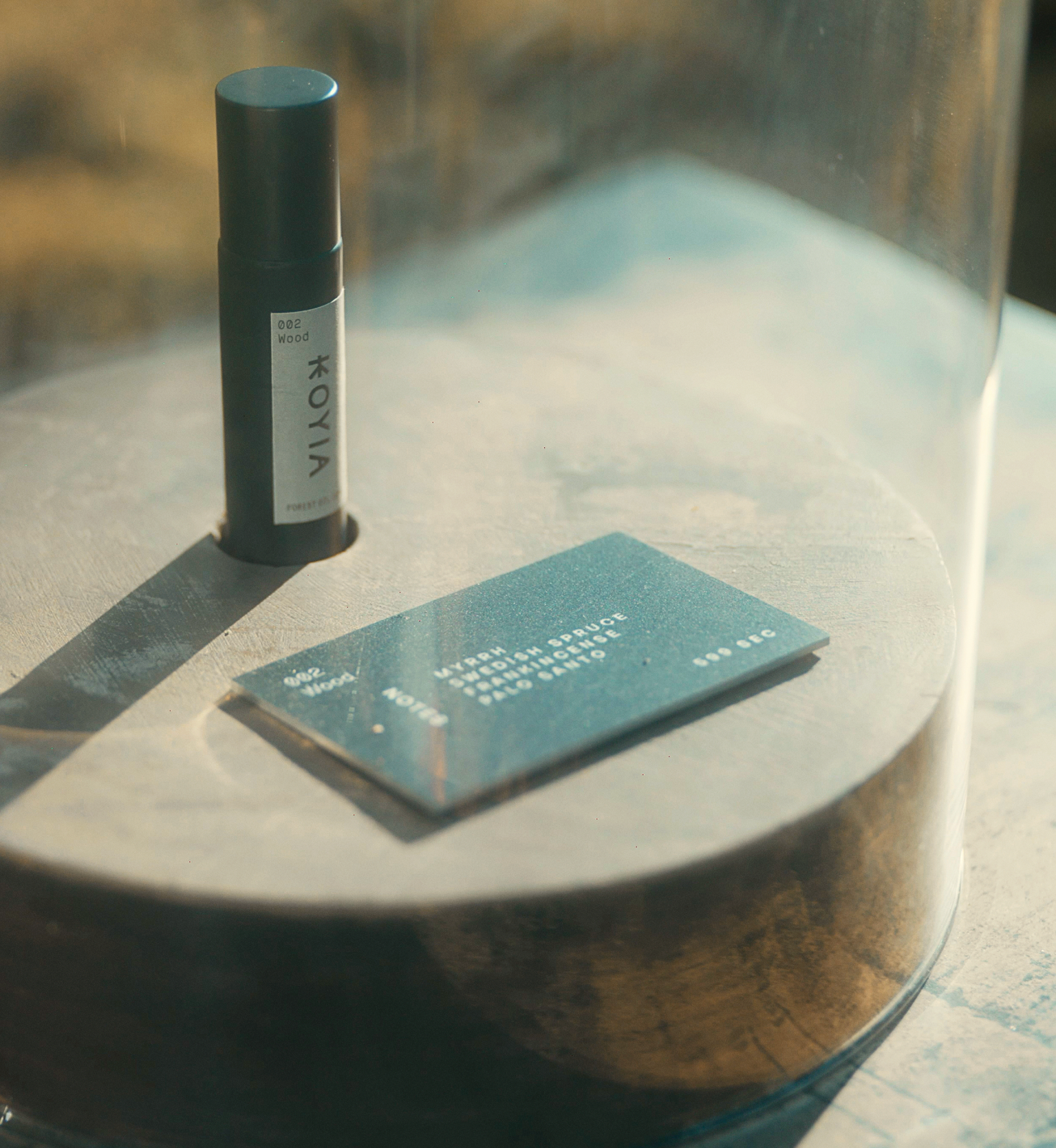 image-aa71404127c16c74f863ff3b0ff0268c4f66d920-1644x1786-png