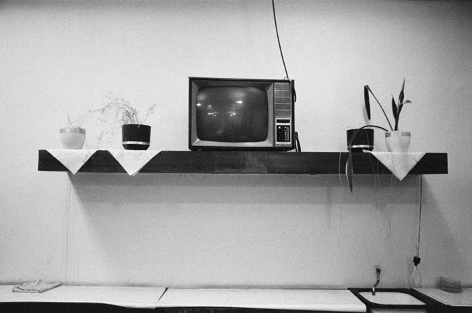 image-ad219ea22b5371e66a6043da58b646c2f582ba9a-700x464-jpg