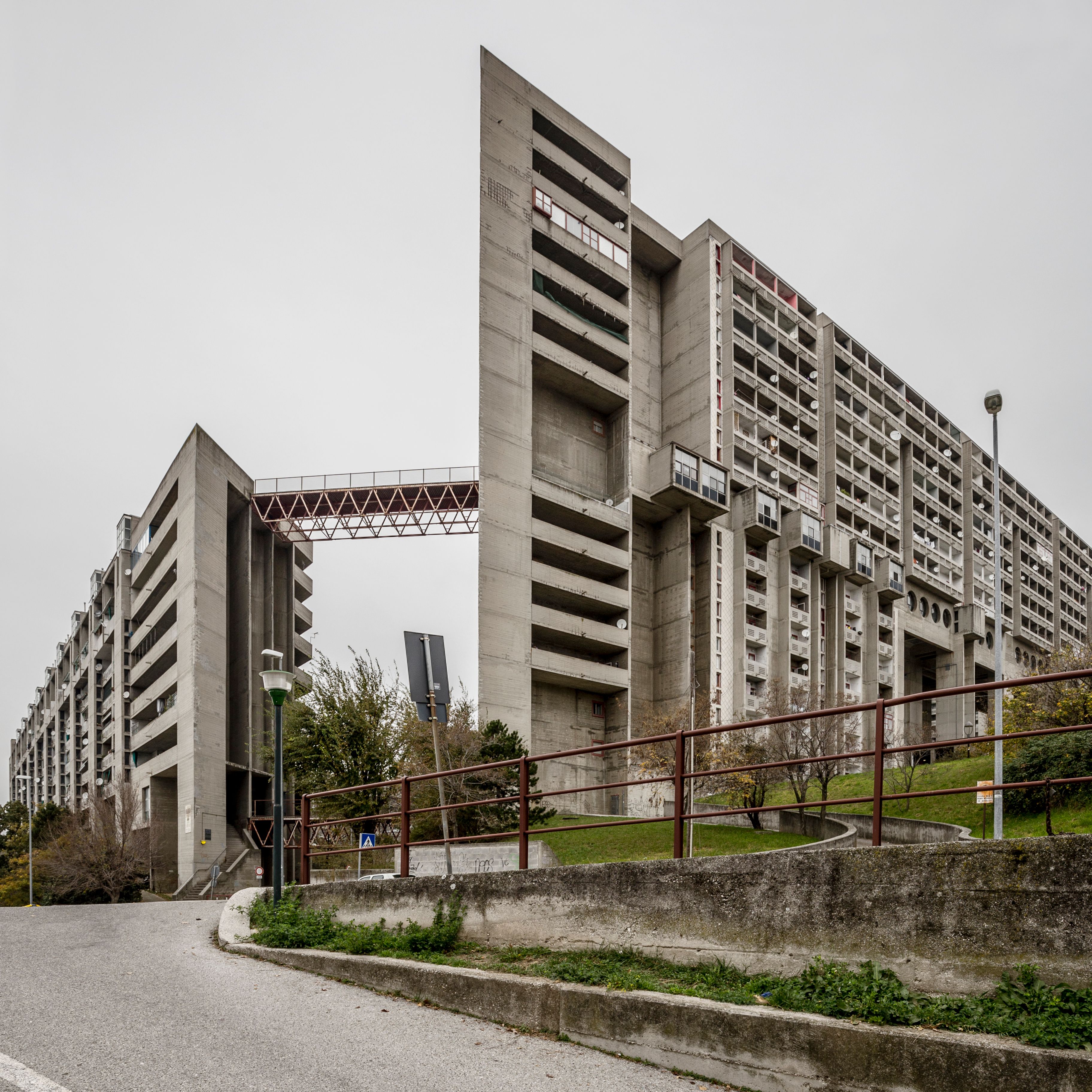 image-af10092238a12d04d47613bee4df90c5abee0aa5-3648x3648-jpg