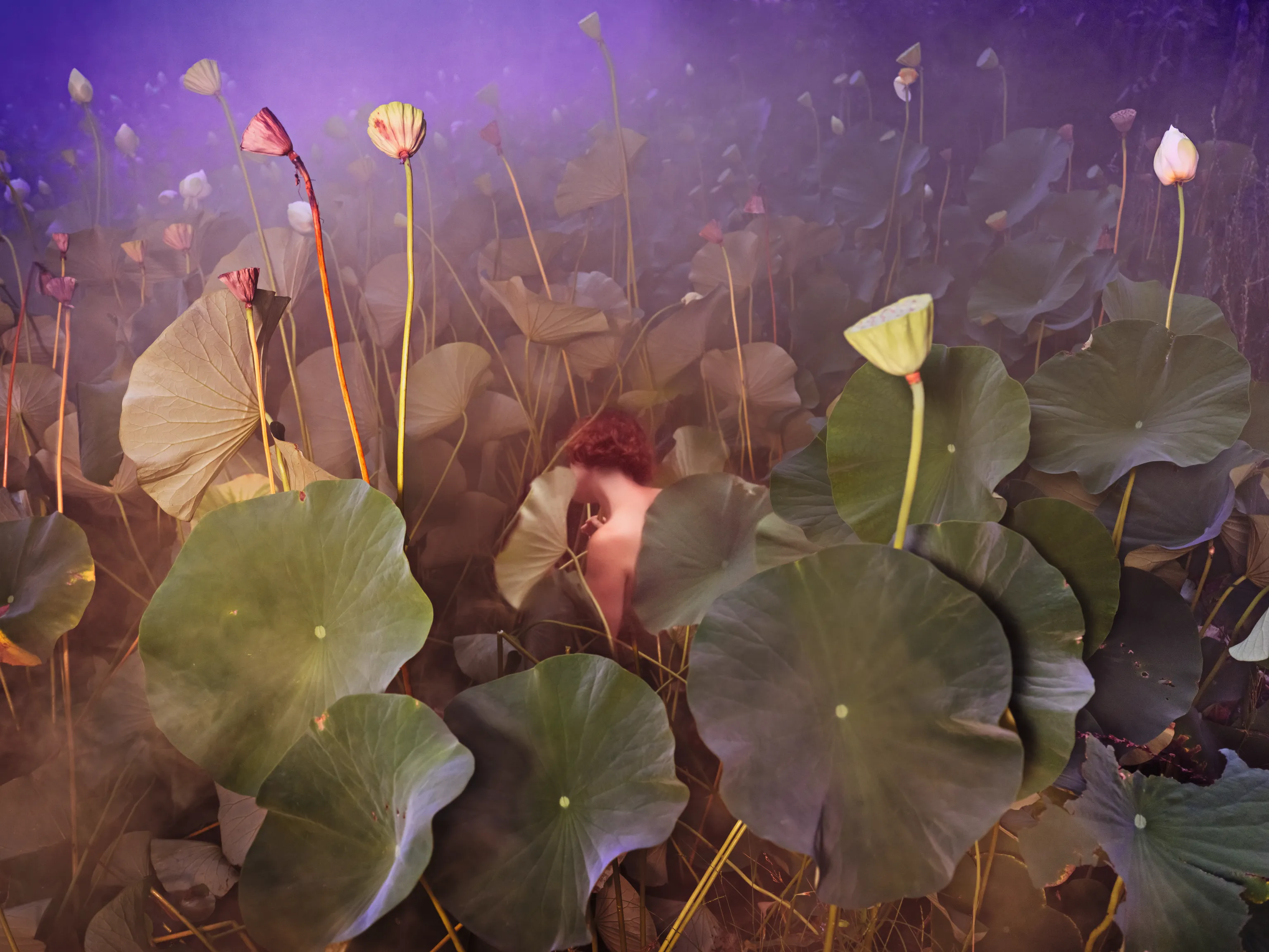 image-b07567f2aa91caedcf25d9affc0bd5c6777a691c-5101x3827-tif