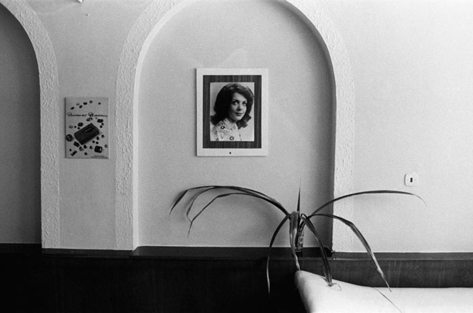 image-b6b4a5038b89ce9830a31a22c81209b8687738c8-700x464-jpg