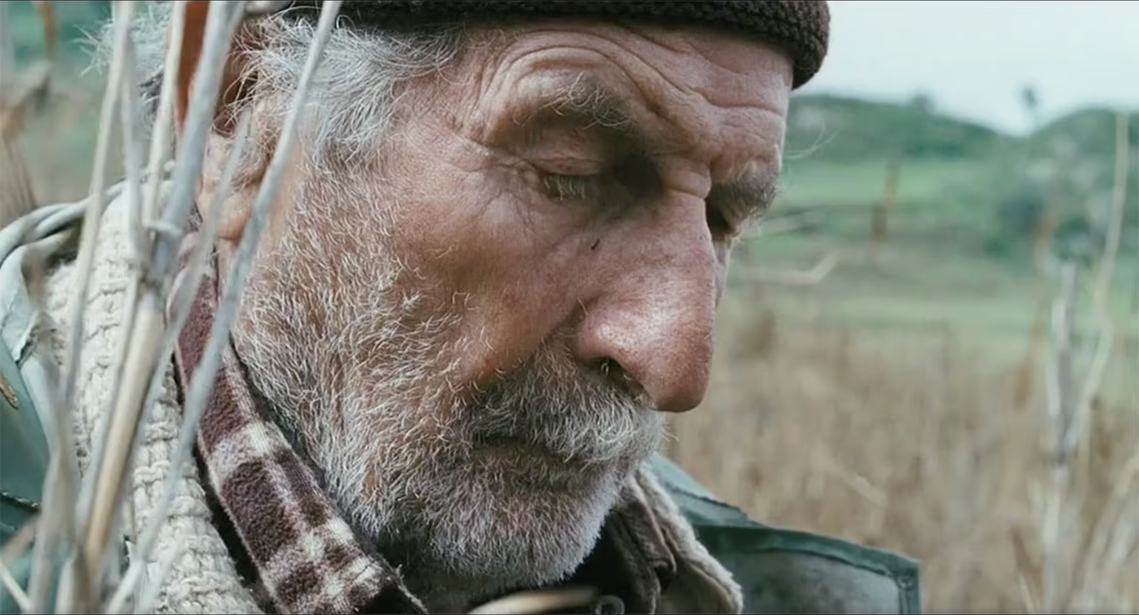 image-b7efd97d645b5466a5f13482247a936cb212be45-2302x1242-png