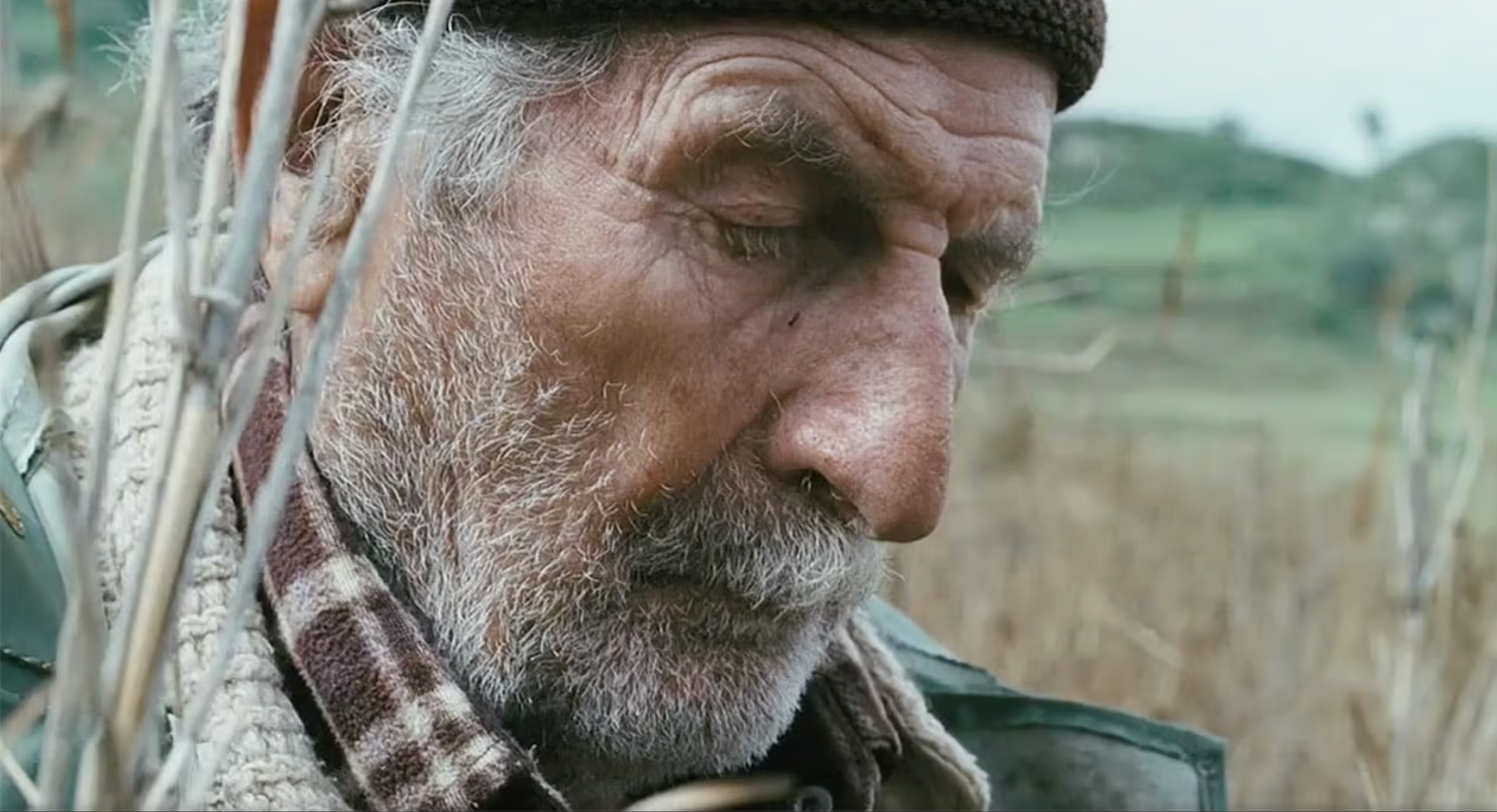 image-b7efd97d645b5466a5f13482247a936cb212be45-2302x1242-png