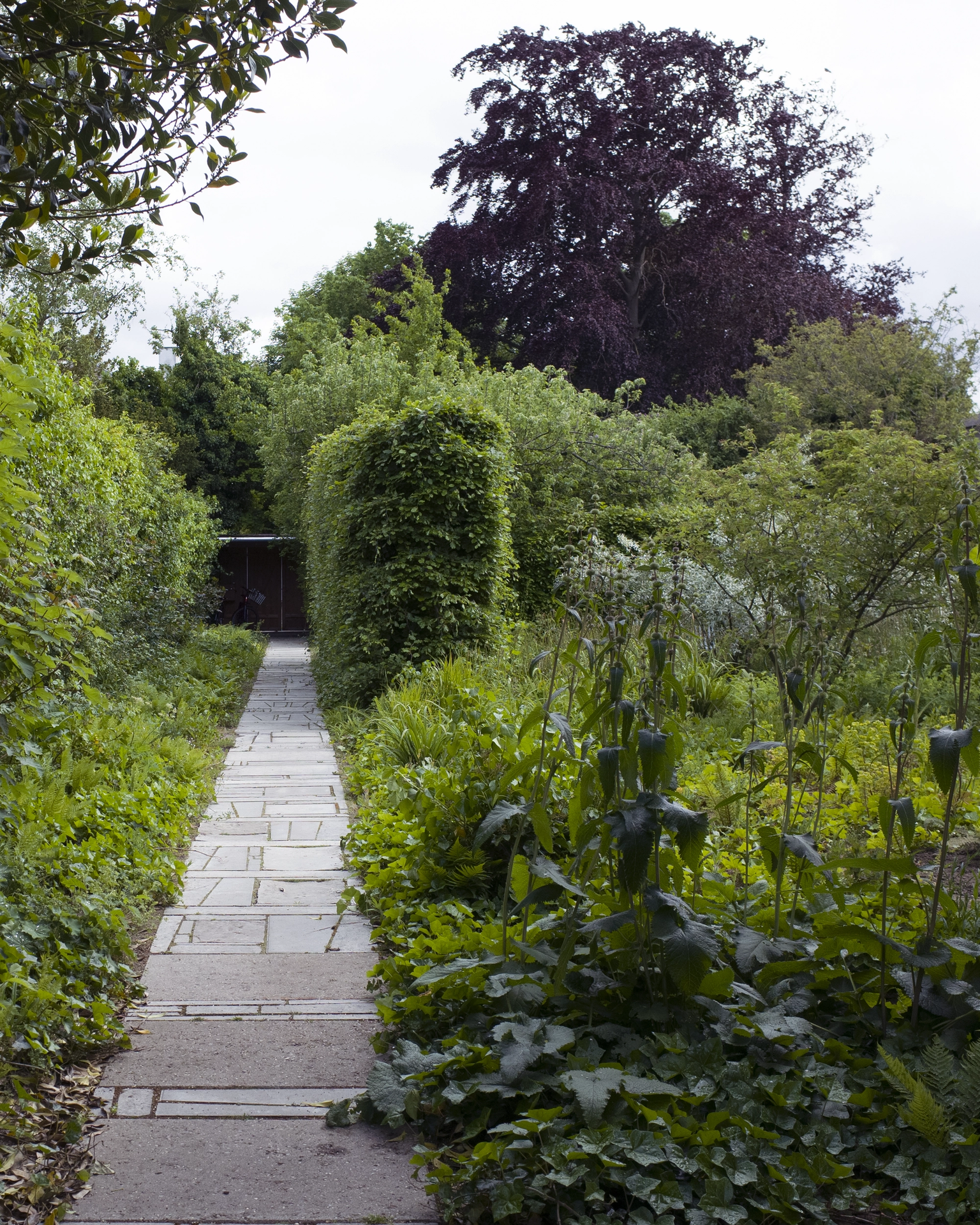 image-b920fc0db8bd10fa8ab50233283c3a9f5ed35484-2319x2898-png