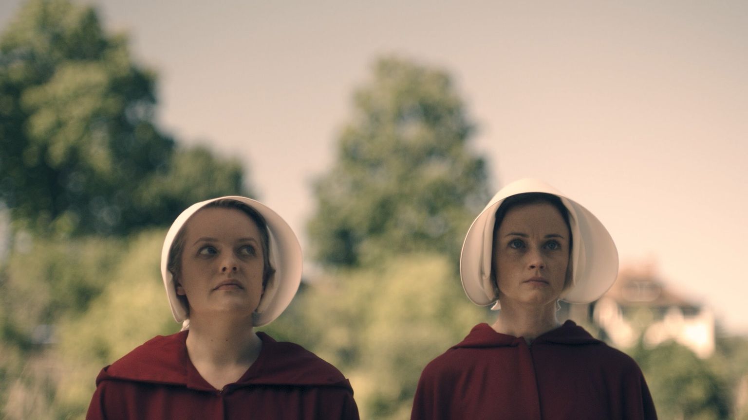 image-ba7be6e6e462f96bf87ed6613d75ec92e81e7b84-1920x1080-jpg