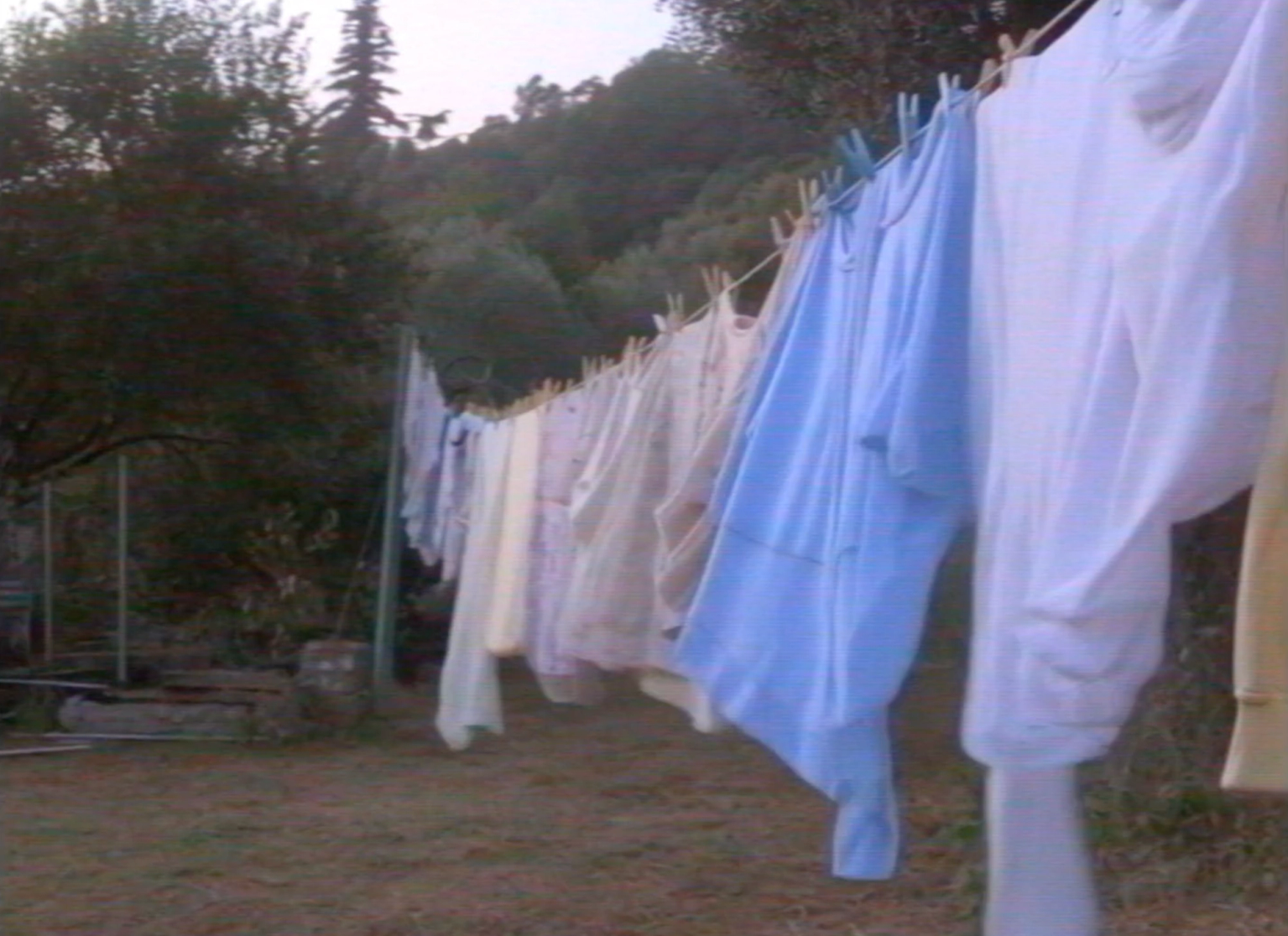 image-bb581bb0f708067329e7d7b6928e25b2313d29d5-2556x1858-png