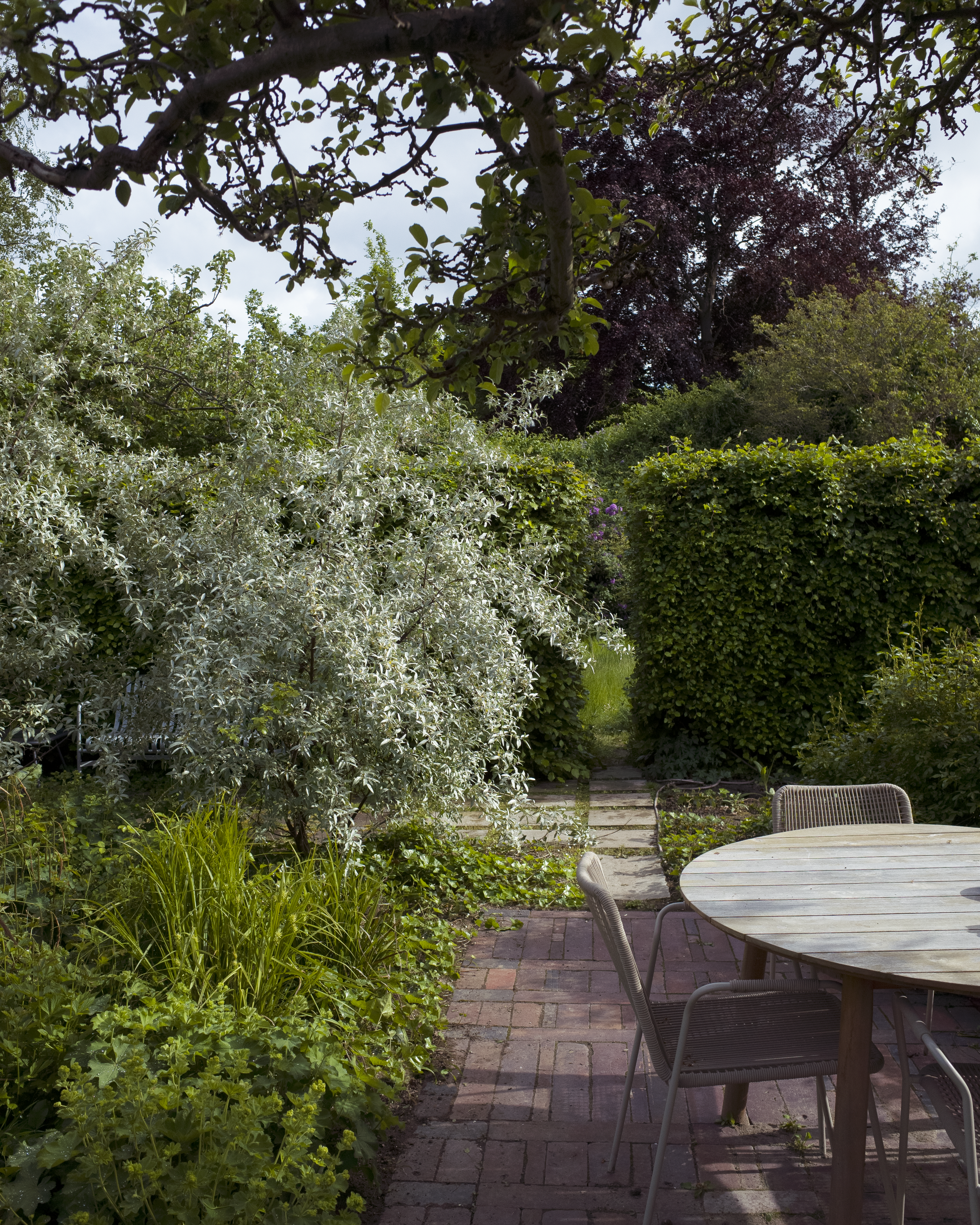 image-bbe5076791ada97411150193ae5df2f126ae80e5-3264x4080-png