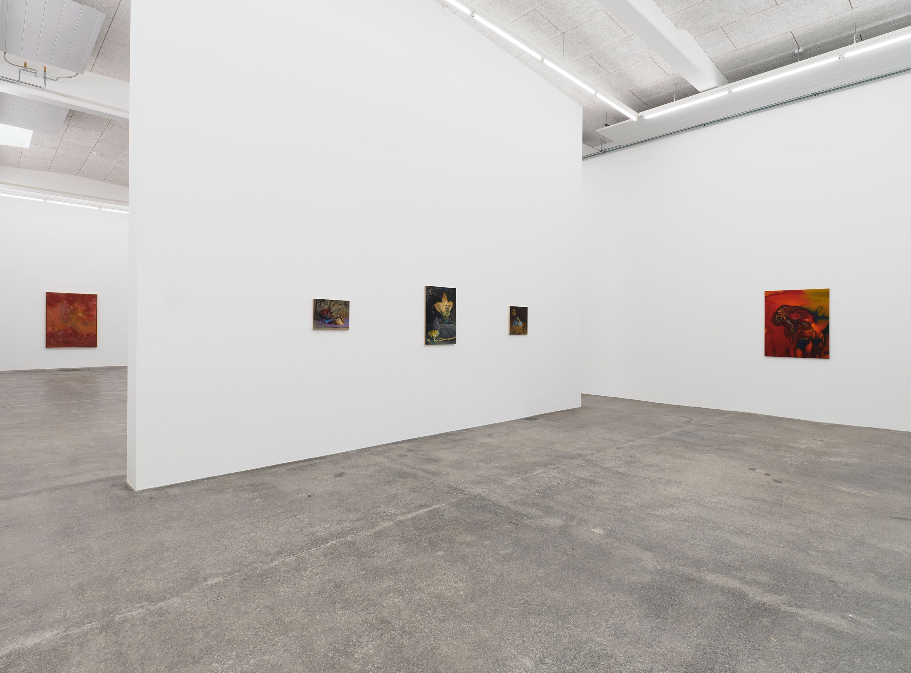 image-bbec728c76516e99cd87348c1f12a1a9e8942ca2-2796x2067-jpg