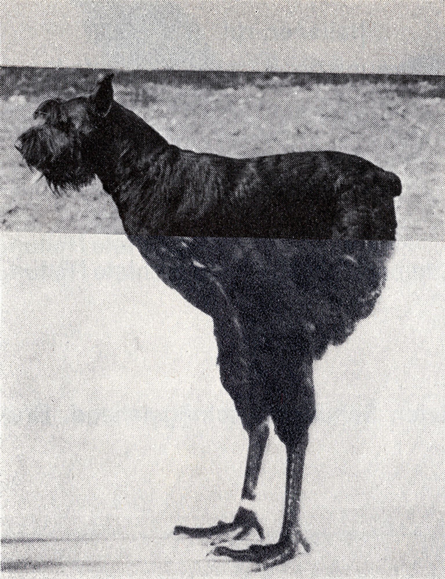 image-bd0776641f47394d8ea034204ed95dd8697fcf27-637x830-jpg