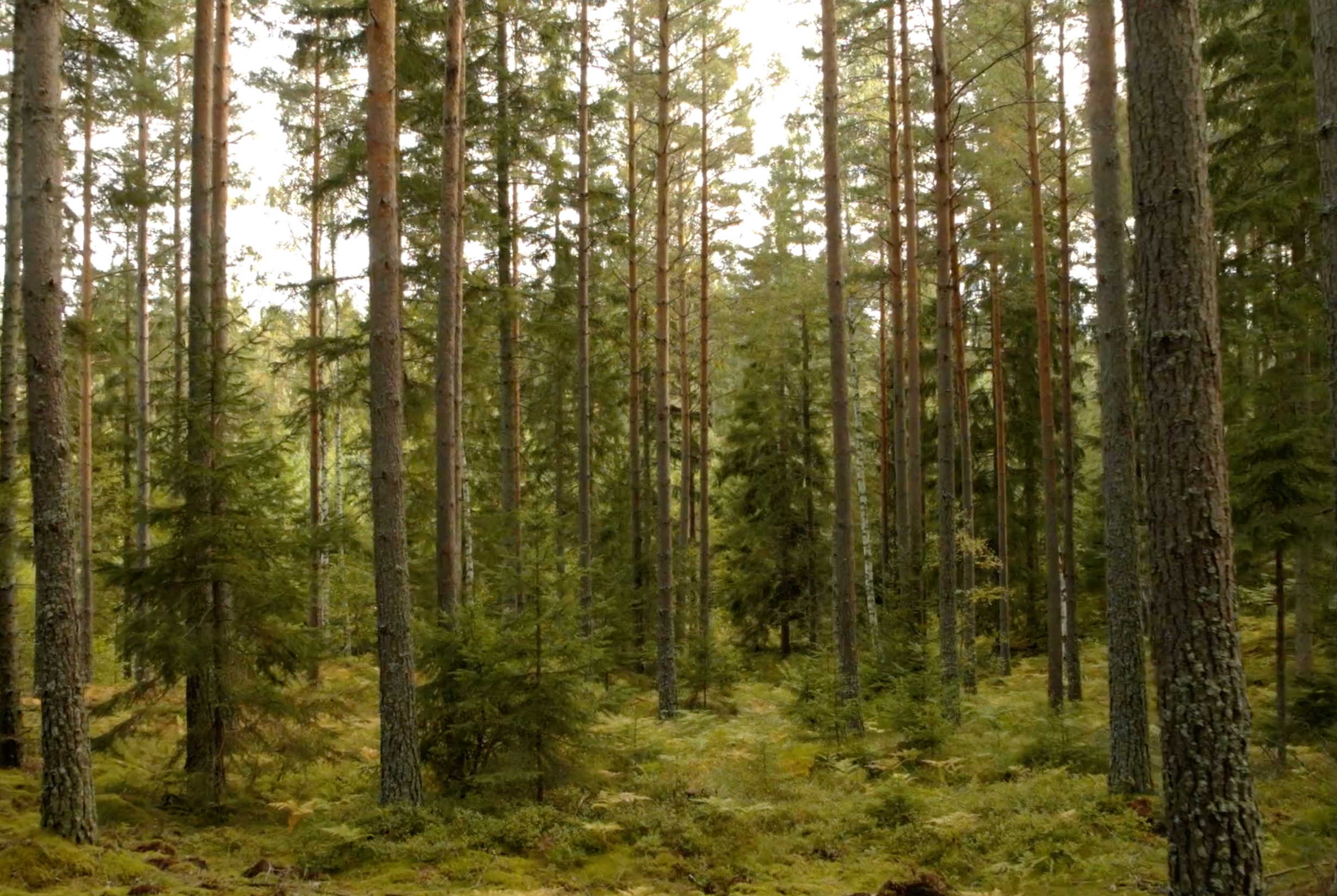 image-be8b7fa2cc7e82dbcbe731b0c90d73e9ed949b94-2684x1800-png