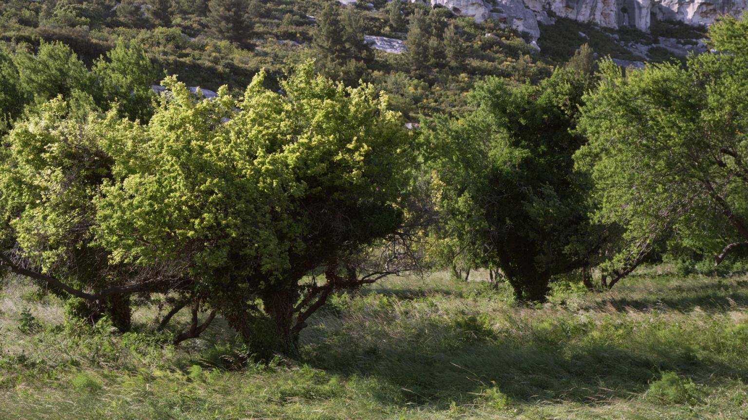 image-bf309fef14e09a5a60d186f90a6aaeab6cab01fc-3840x2160-jpg