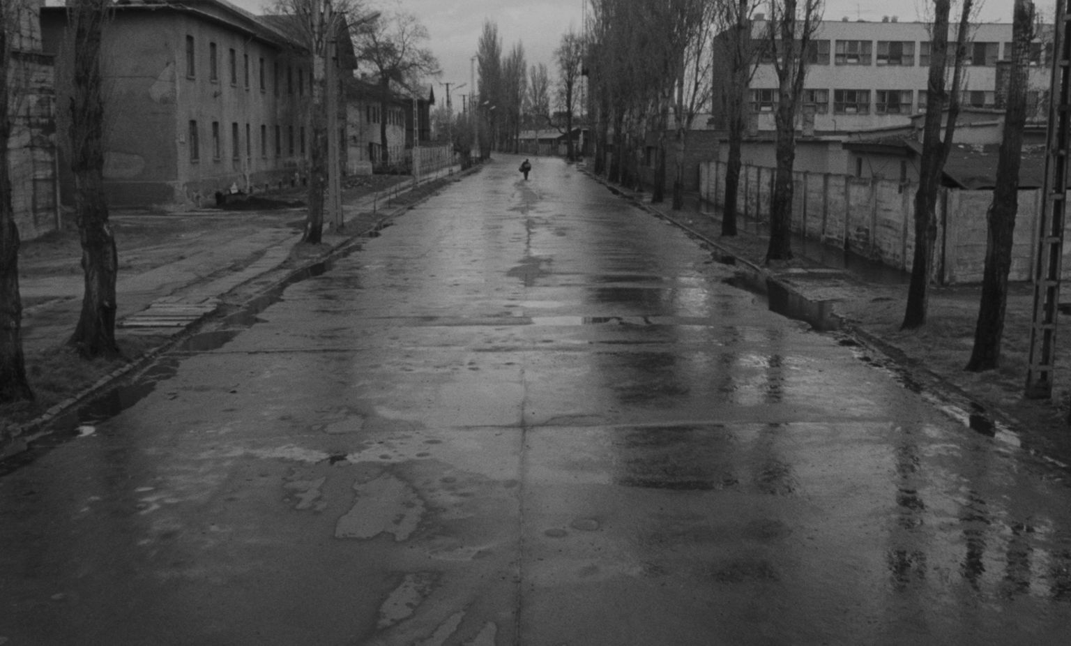 image-c0a66c894aae690be16e42b4a6ae8b5f78b03b34-1791x1080-jpg