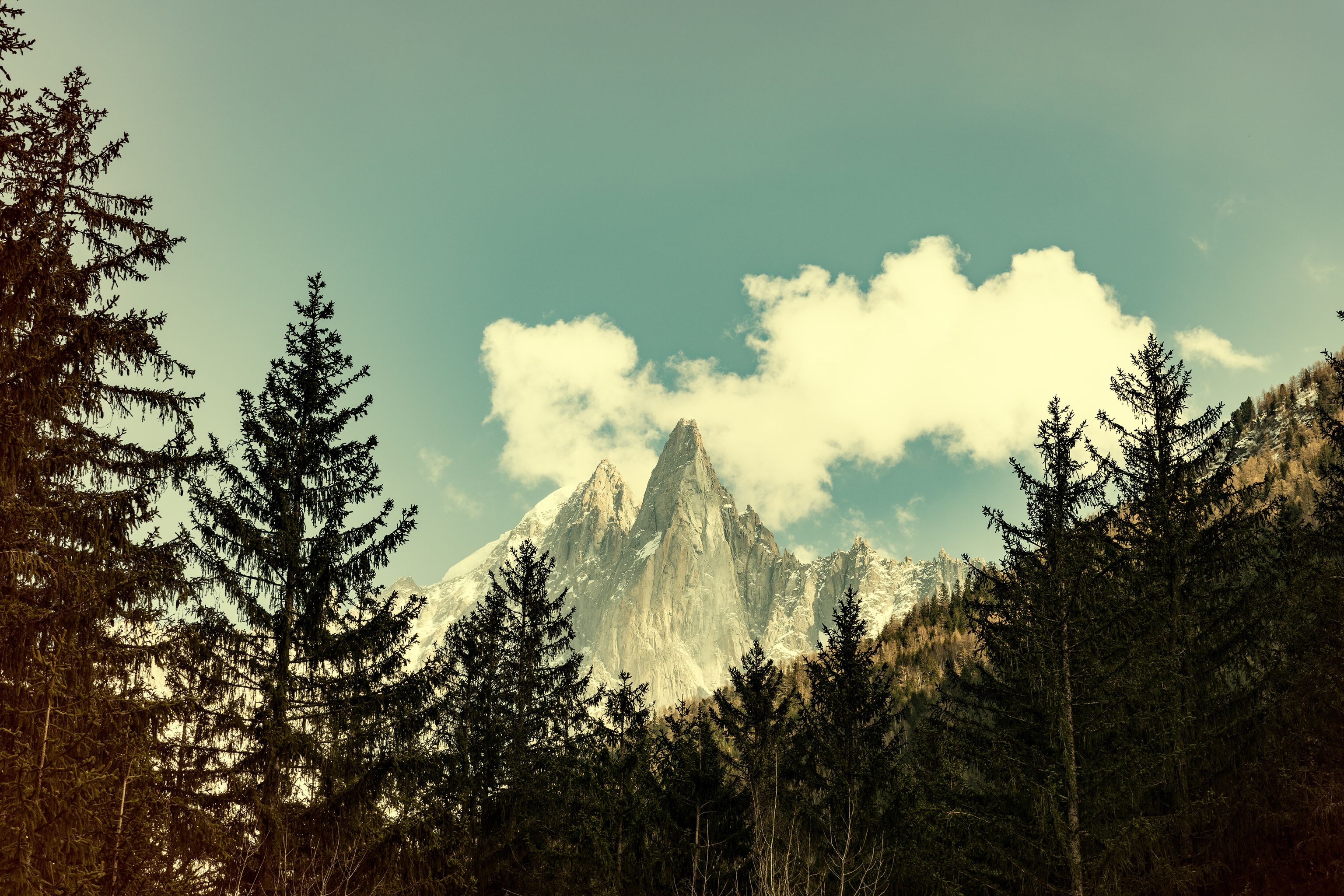 image-c42276a6d47eaa90ca8b023e751d5f113cff77ff-4000x2667-jpg