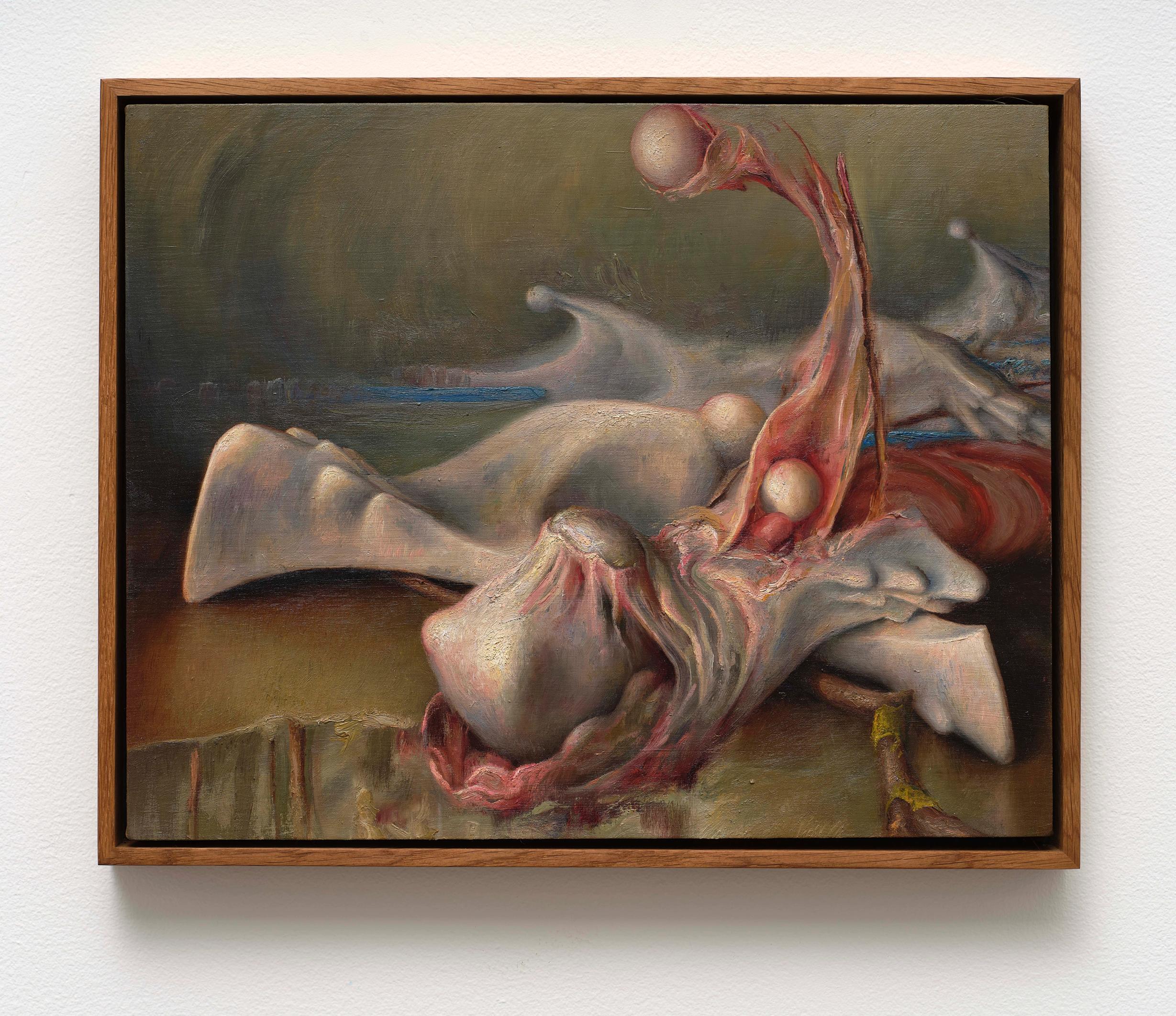 image-c620bfac1e0192a010882e8bc1fab3be4f3a37dc-7599x6565-jpg