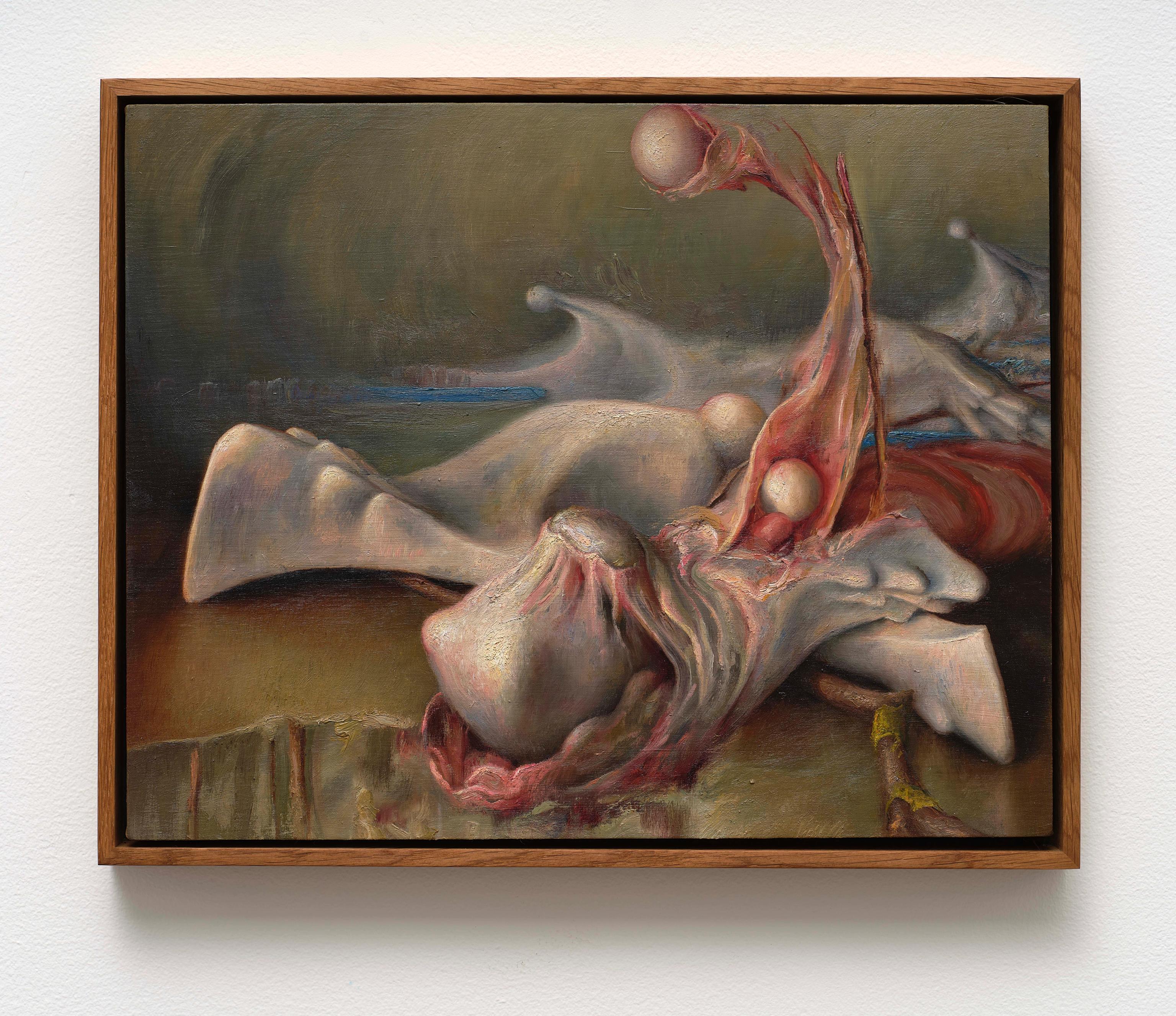 image-c620bfac1e0192a010882e8bc1fab3be4f3a37dc-7599x6565-jpg