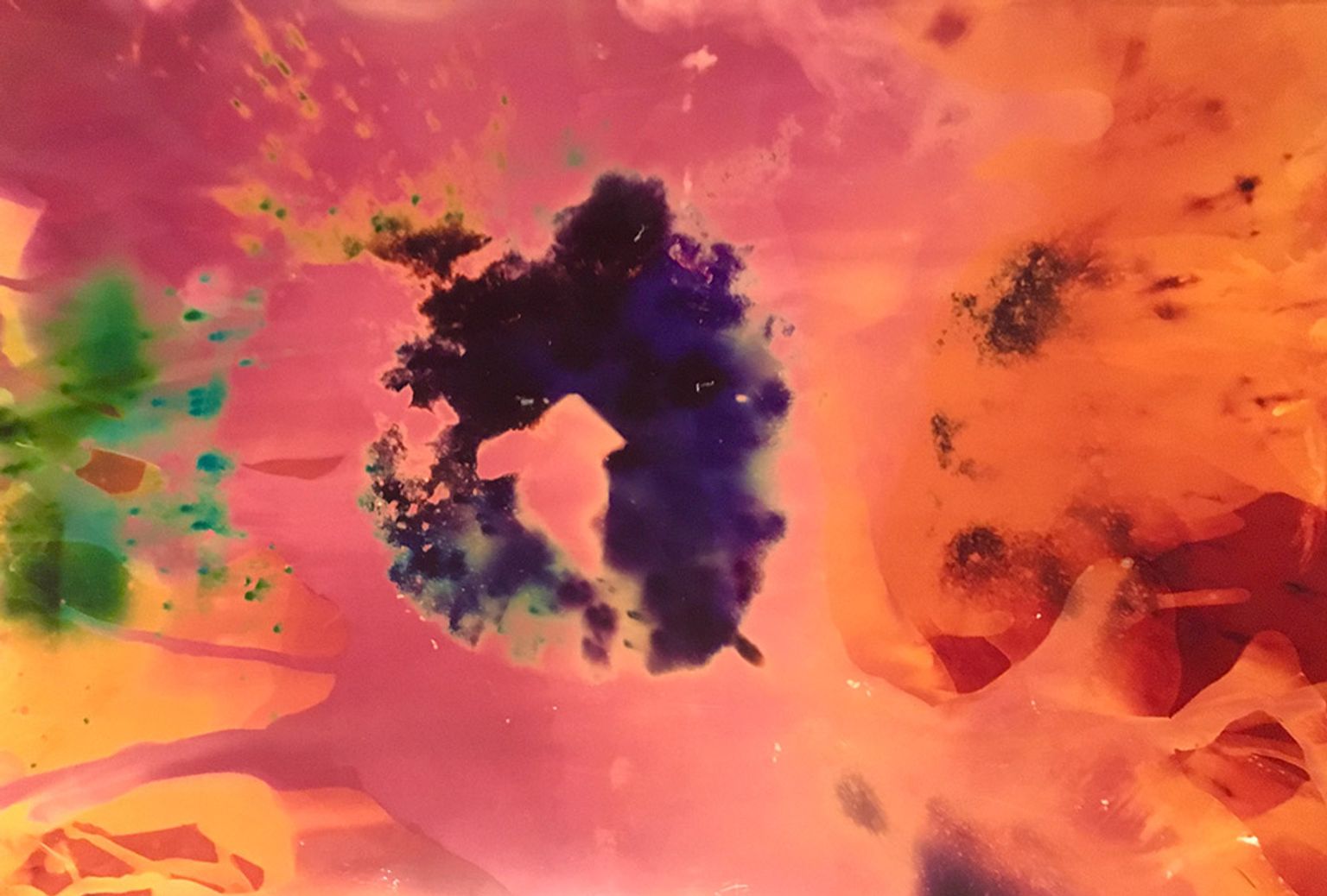 image-c7189d6aa2ce64f6b740b16be8fc1172dd477ff8-1000x676-jpg