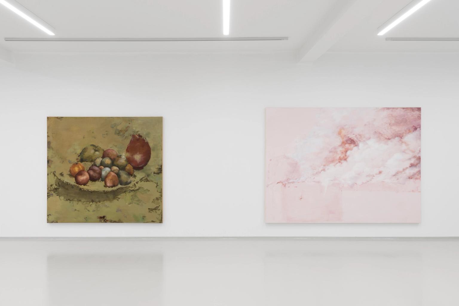 image-c8c08b33bb3fc2271e5ac76b396b04d2f9ebe7b0-9504x6336-jpg