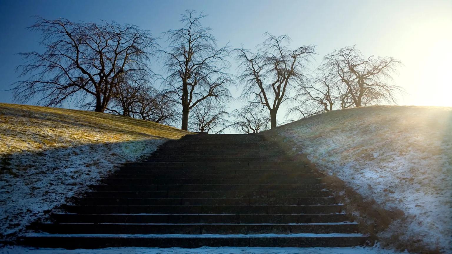 image-cb9f08adb2ffa1ae5237f01c4d7962e33889dc5c-1920x1080-webp