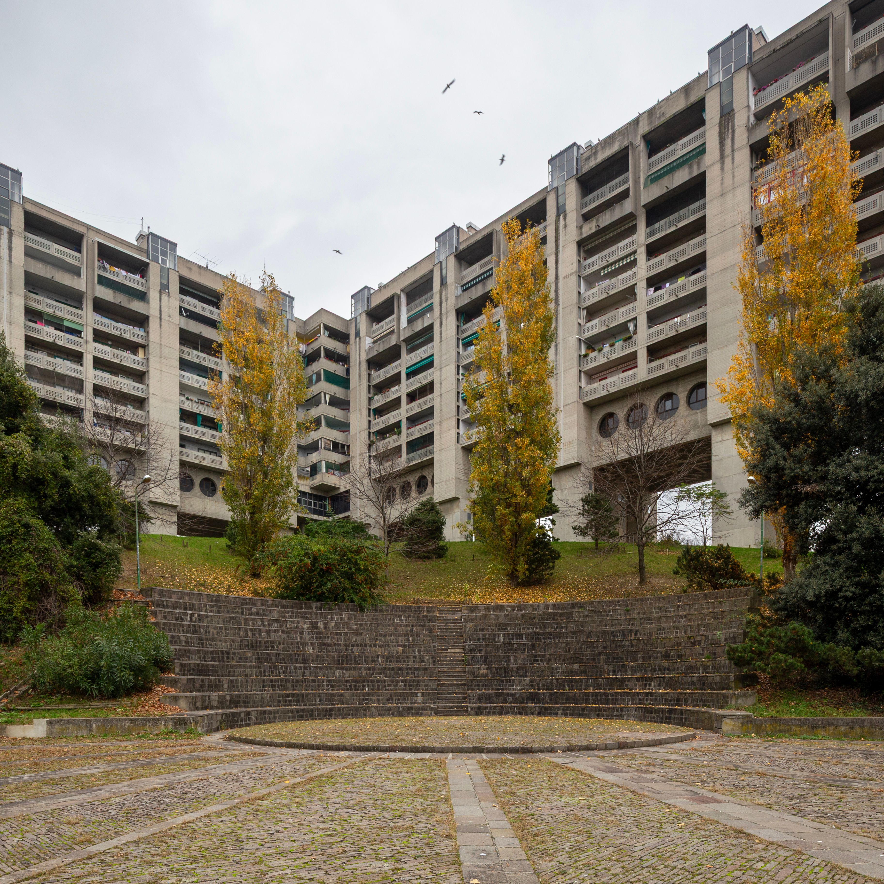 image-cbdf34ee372eb2761b231c78522bd23823faeac0-3648x3648-jpg