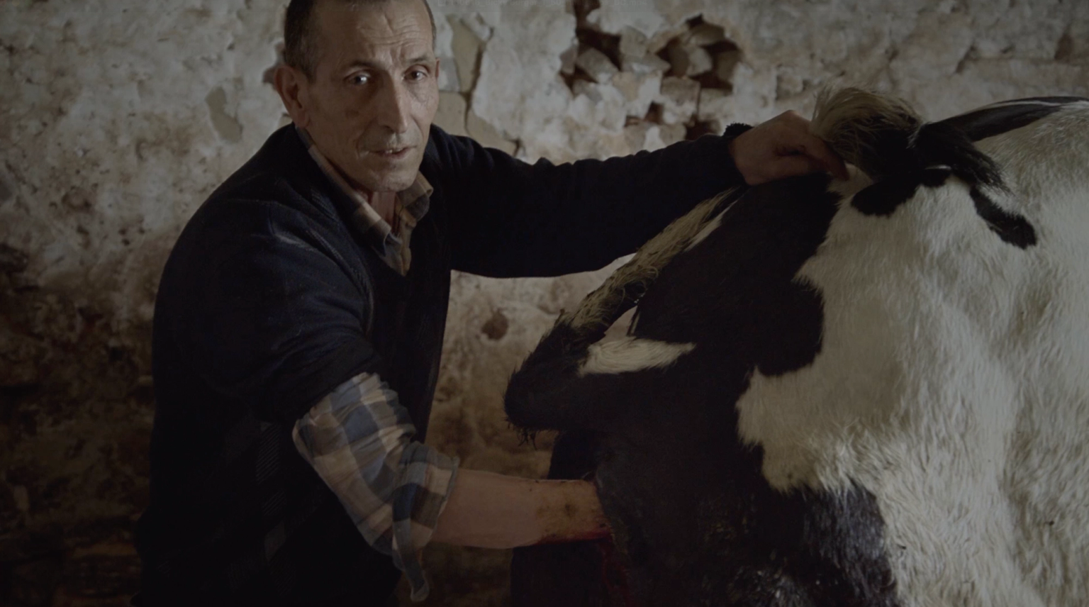 image-cefedb99f88a62c262da6f30c094a4c5fa393a19-3430x1912-png