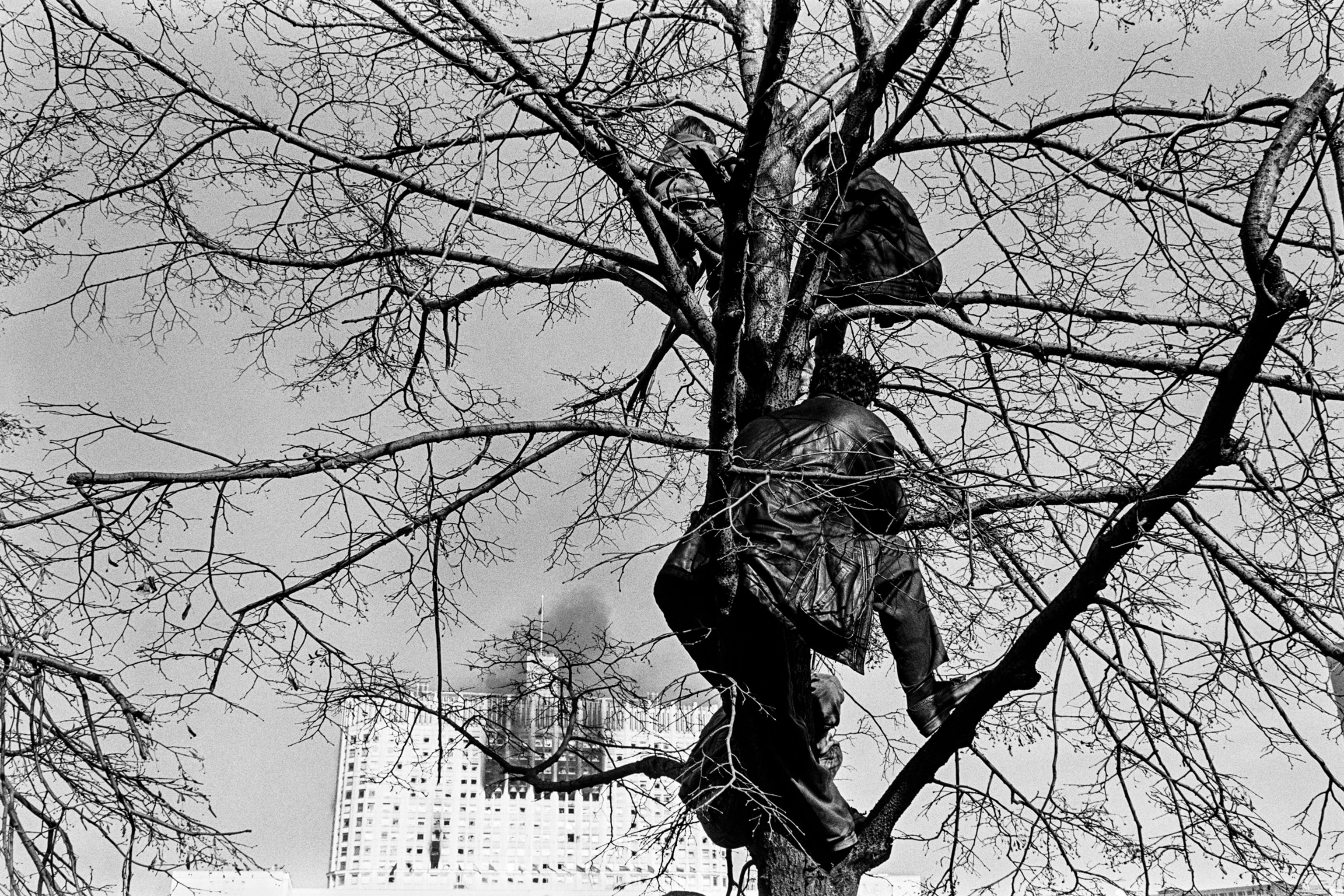 image-d2075093c2a22961af005beab74c58a2c21ac795-2126x1417-jpg