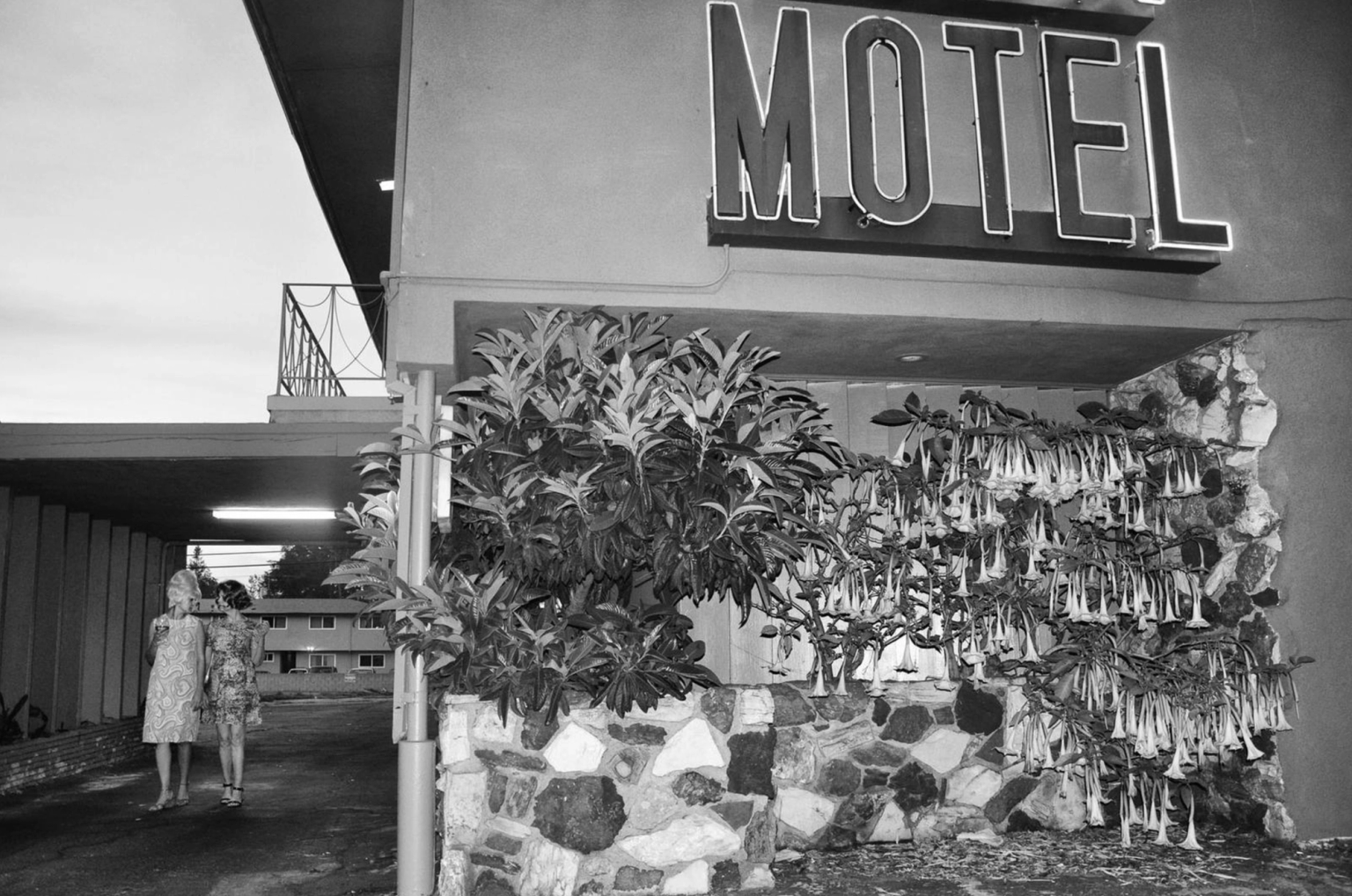 image-d57005a97329d73091a85f3807d65427d447d386-2222x1472-png