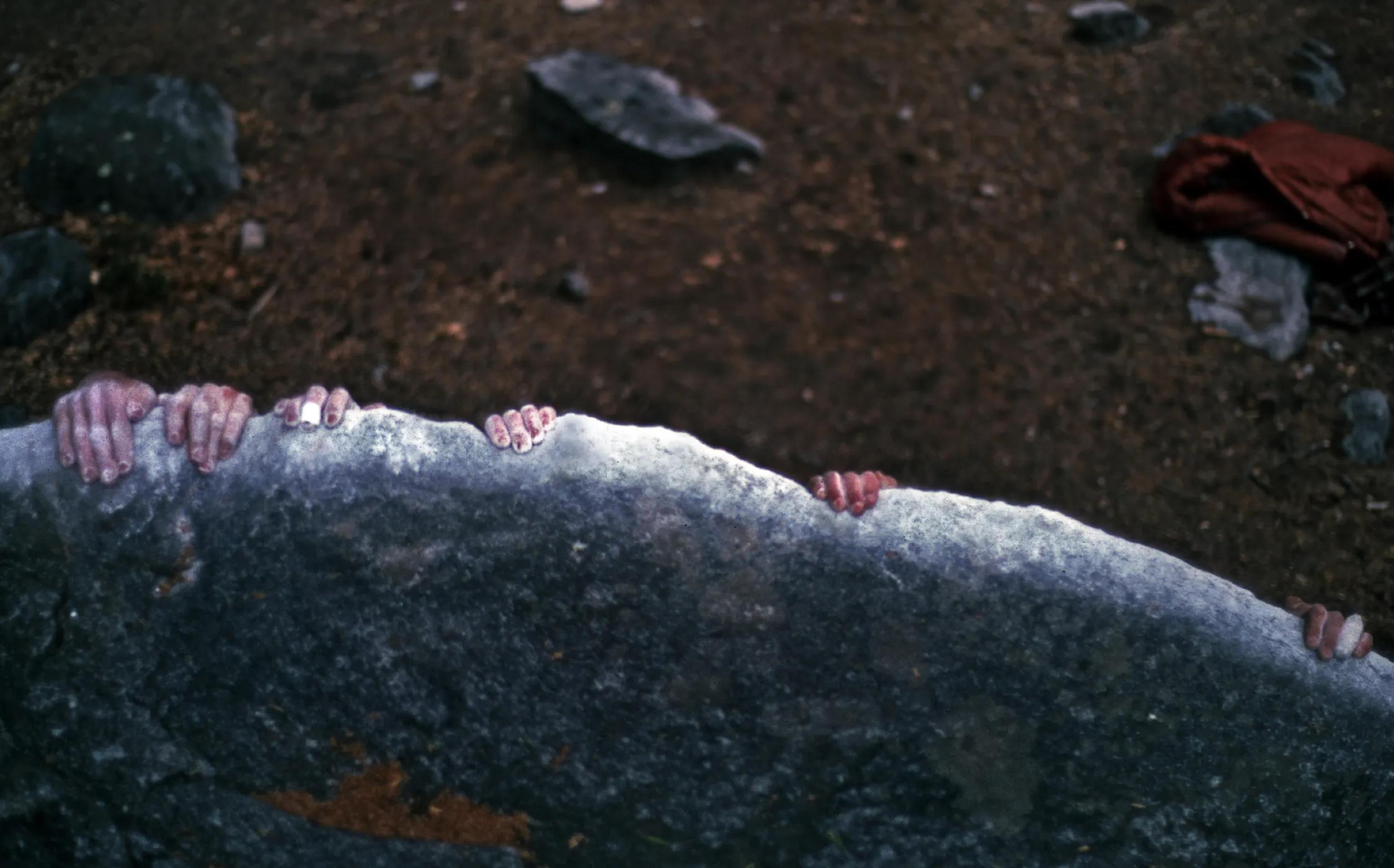 image-d5b6e5dd7527e6a876278289128c9e01babb2210-2250x1401-webp