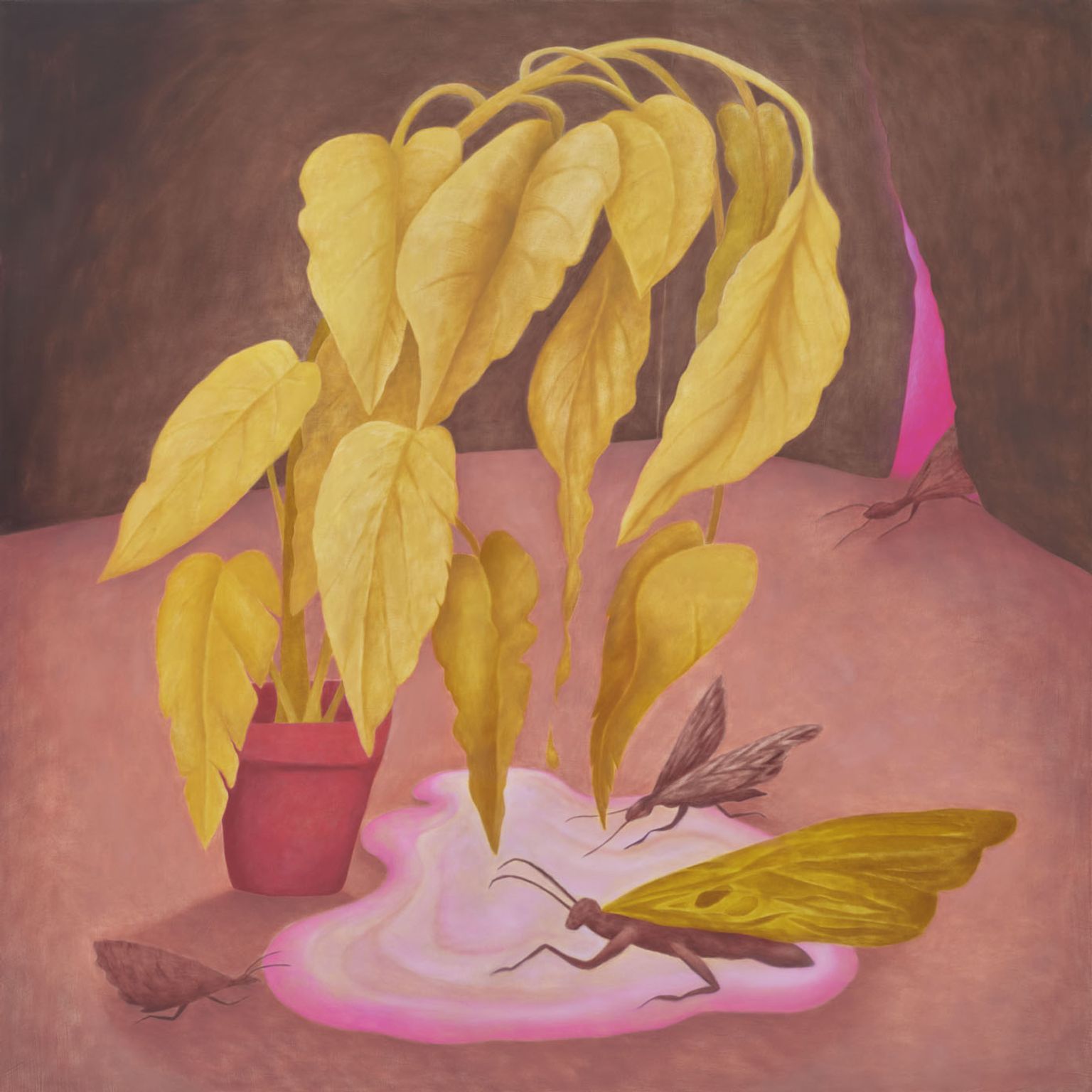 image-d687ae6378c21b3a886b2fa76a6245ced5626350-1395x1395-jpg