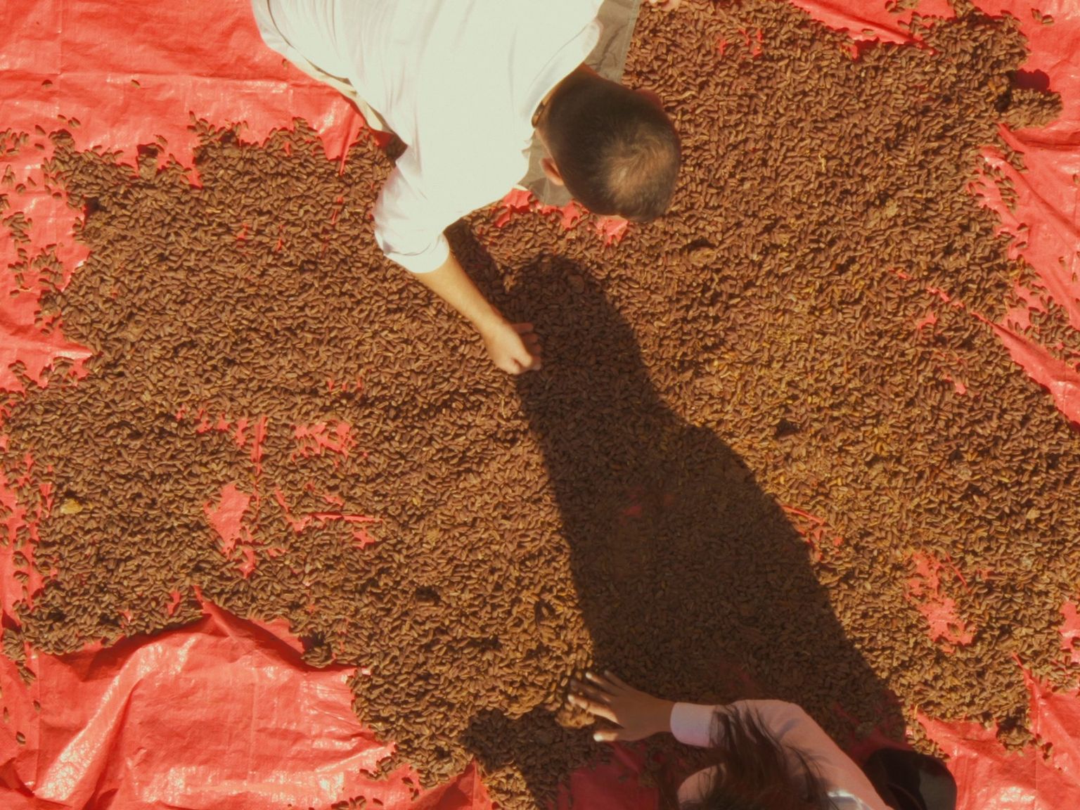 image-d68ca1aaa1d7e0b959222f7bad8c22cac9d8043f-1920x1440-jpg