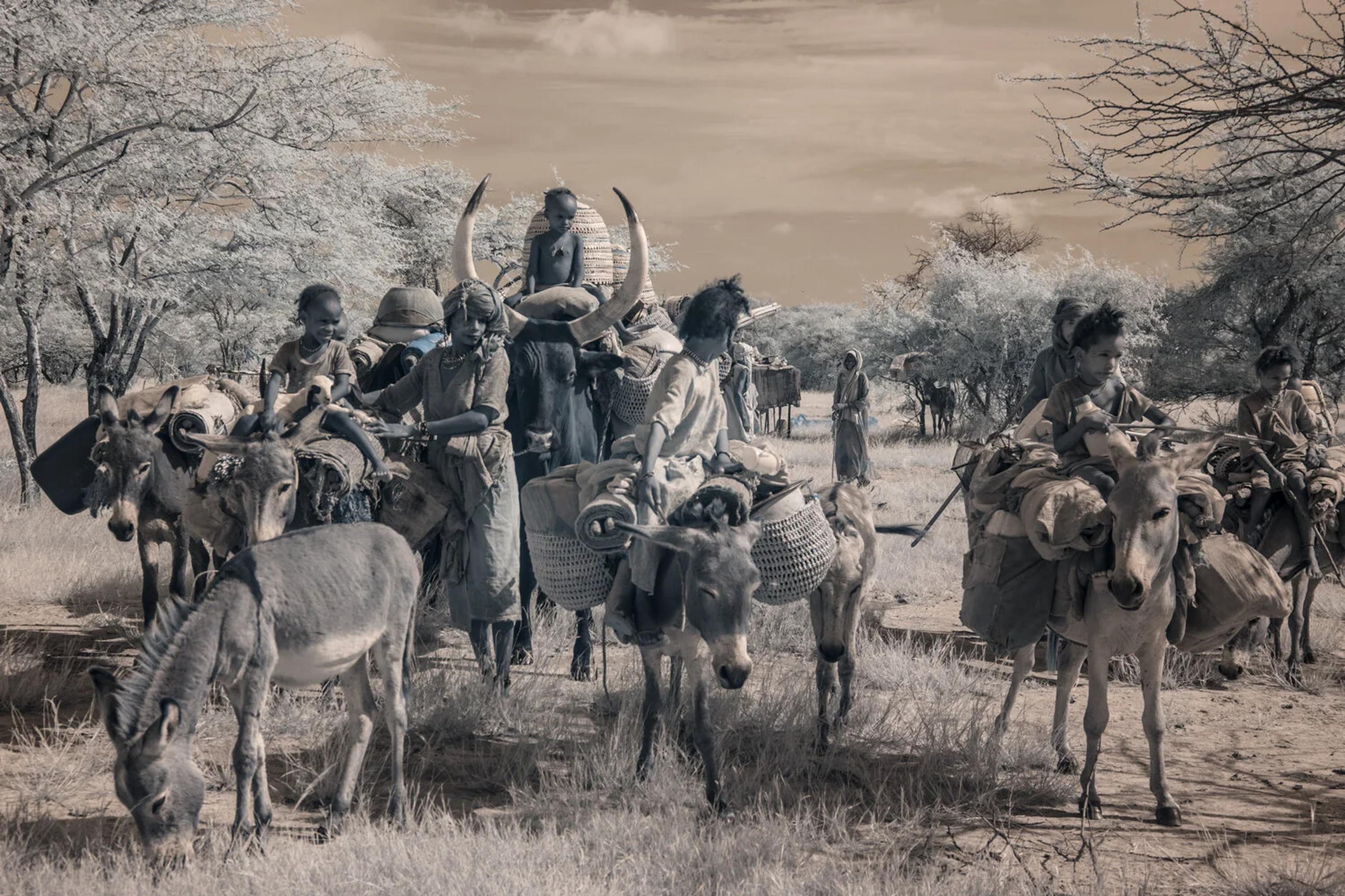 image-d969529df5a5021466d57108ff26ba1e2c2dfab7-1500x1000-webp