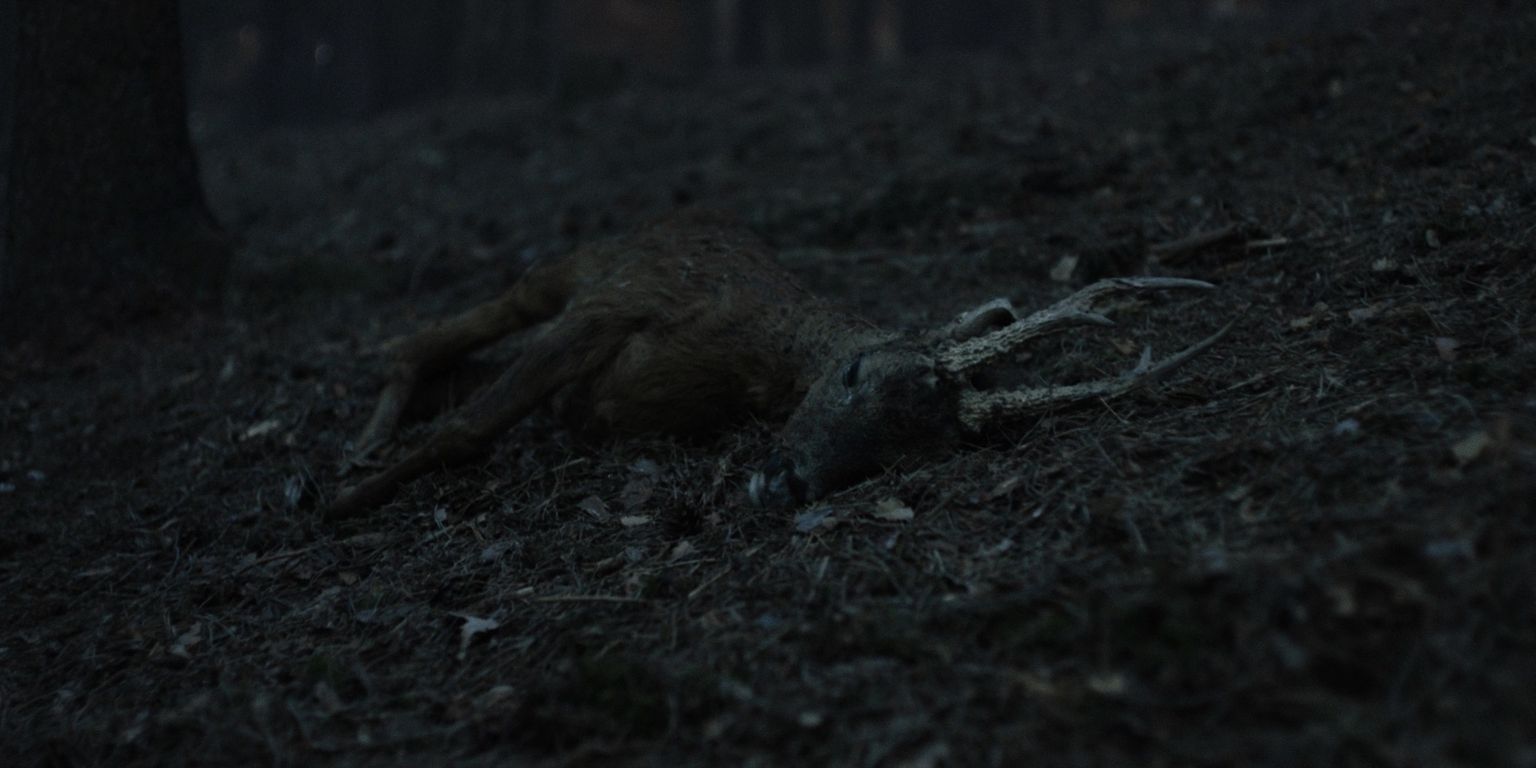 image-da38e34420f9ca247e6f97fd07454c23bbe4e2a9-1920x960-jpg