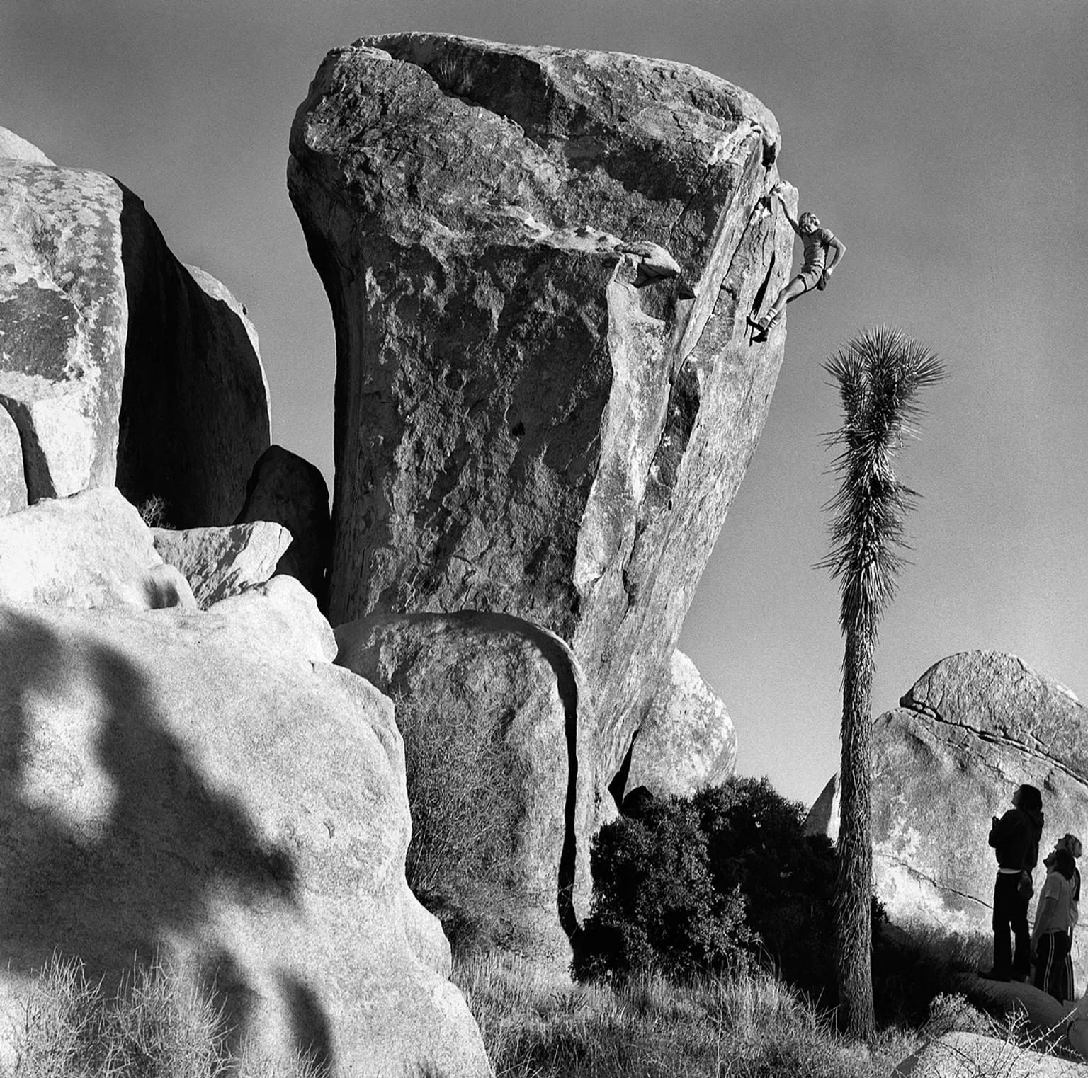 image-db1d6e321dc8d9f3157fb6bb929e7cdf1937c448-1202x1192-webp