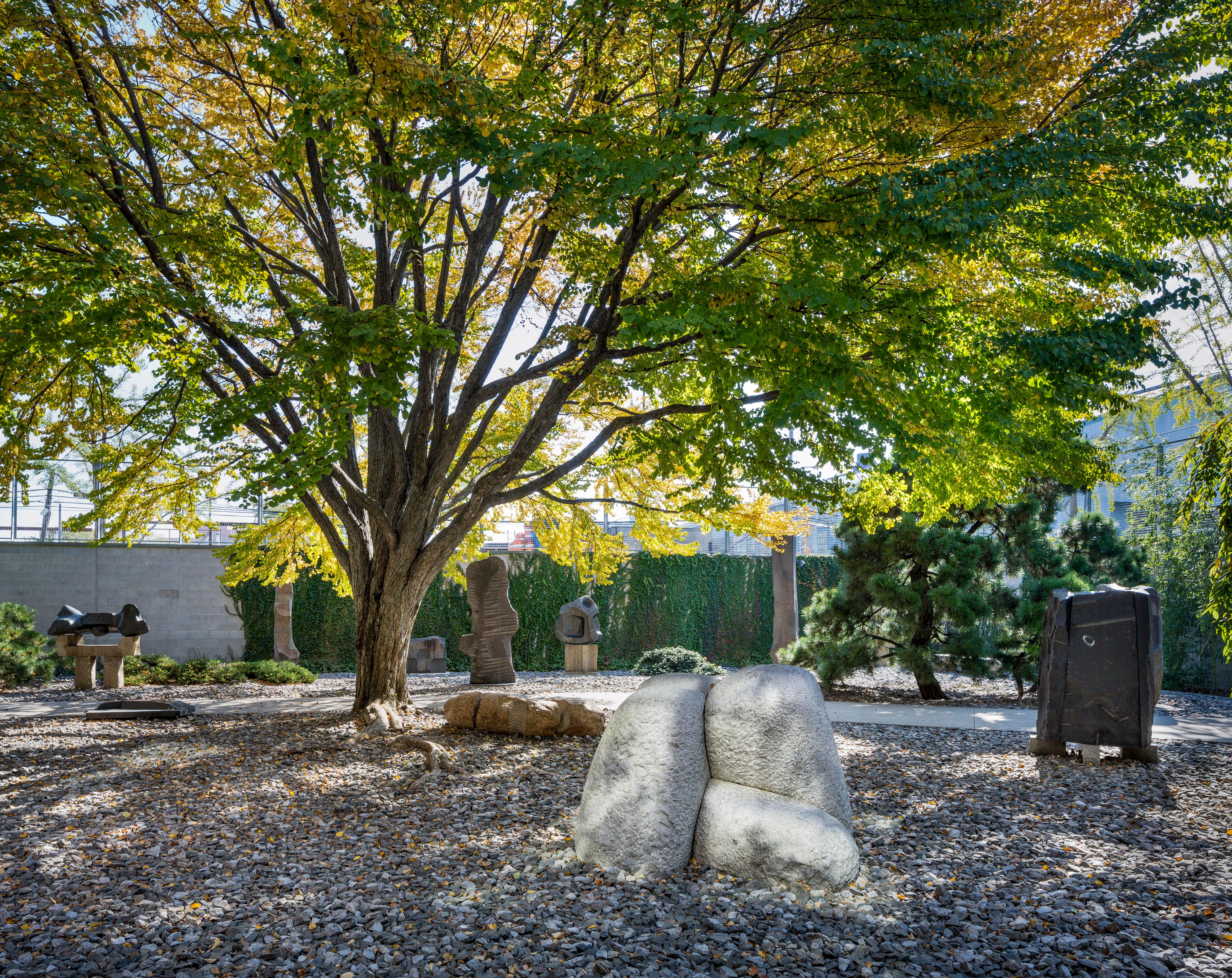 image-dcb65af5de3b7a111056a199e3562157b4eae709-5662x4497-jpg