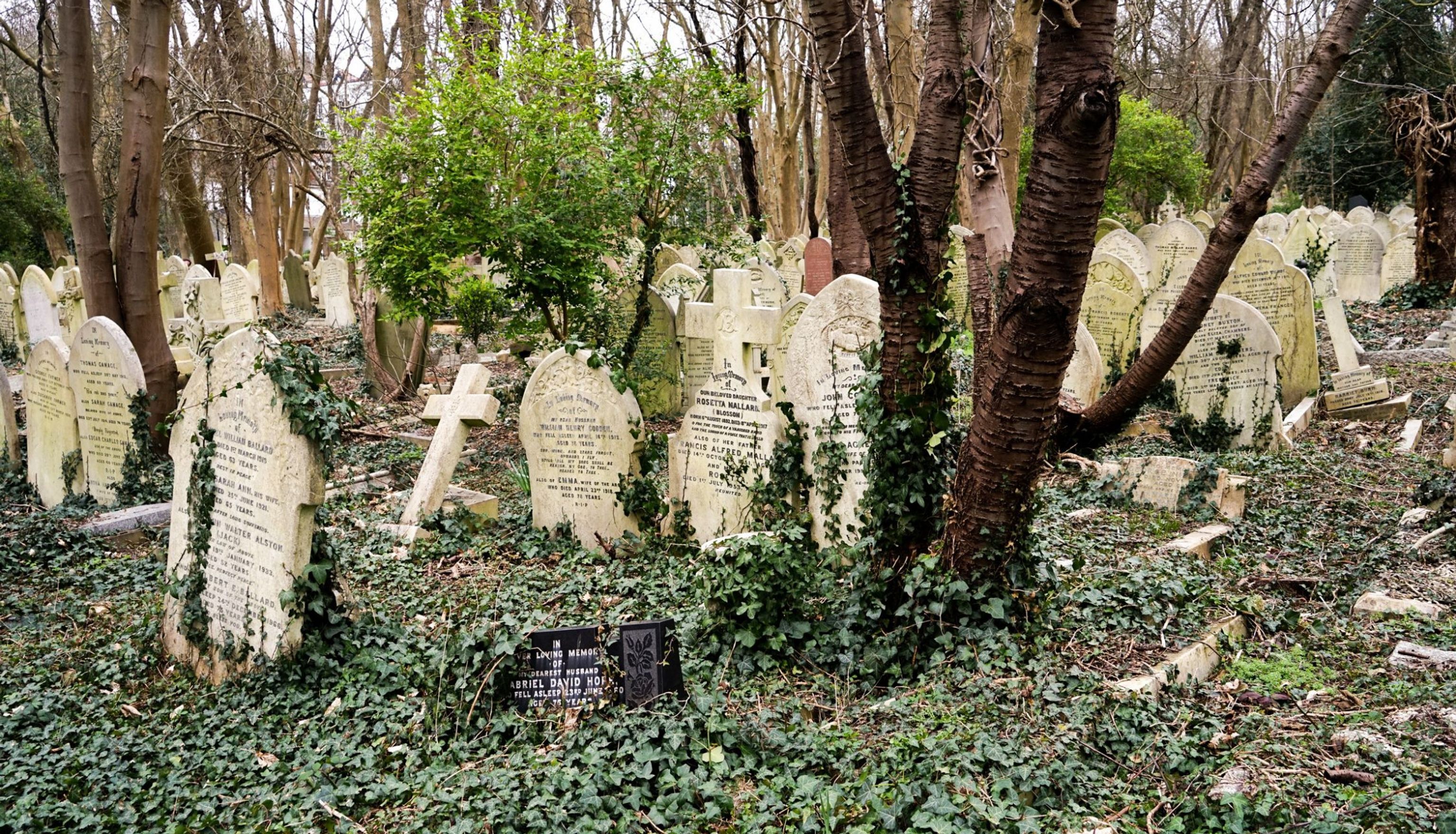 image-dd01d1882dbf440b2d56acfd77c2d15da182a95b-2250x1500-jpg