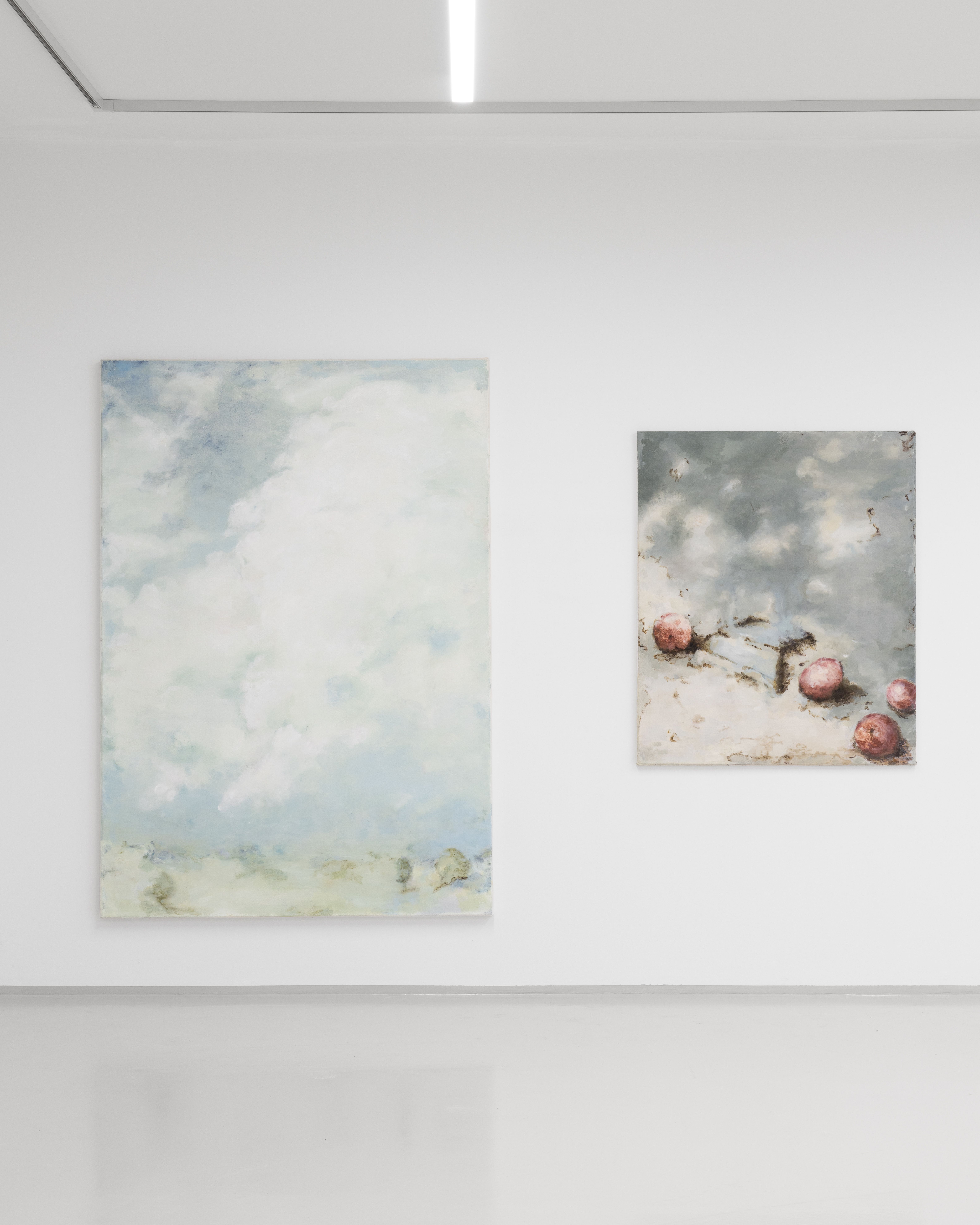 image-de6fdc6194453560003069245ad0551d9a5dfbf7-6336x7920-jpg