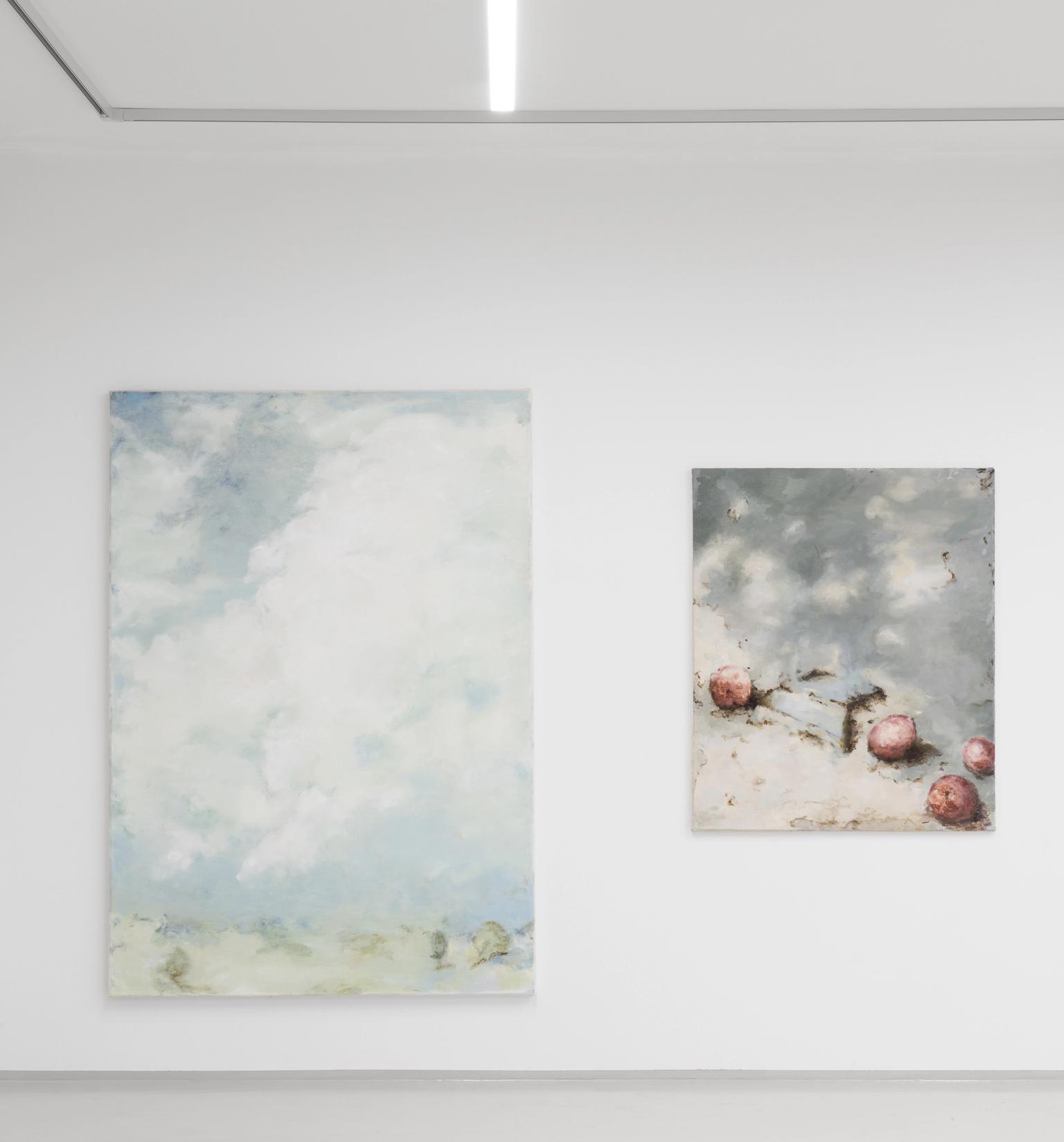 image-de6fdc6194453560003069245ad0551d9a5dfbf7-6336x7920-jpg