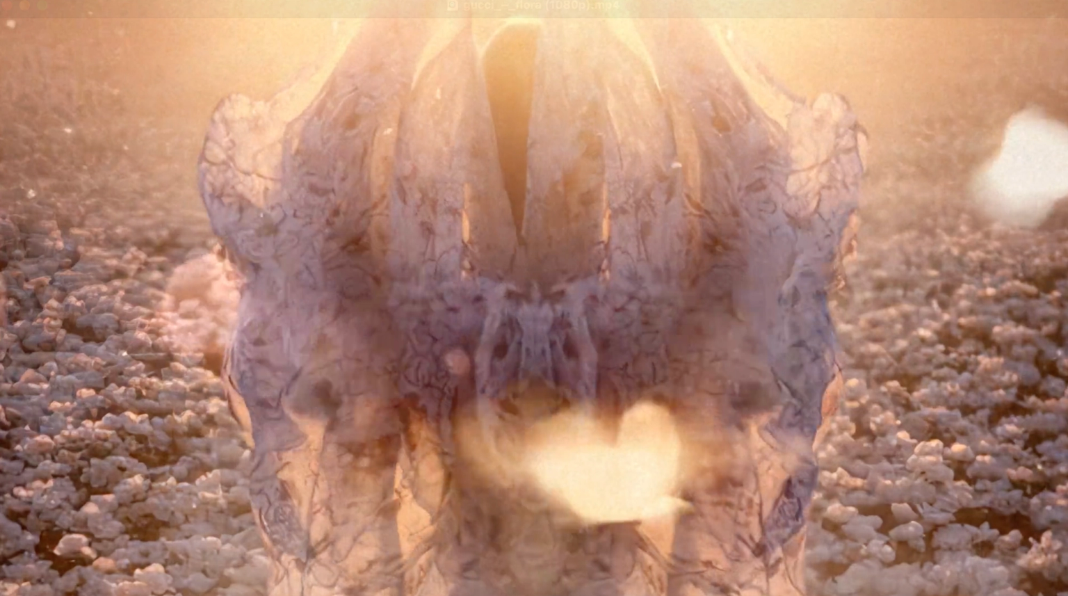 image-dfa7b72bd7347291821418d483924c4fef187e0a-2430x1356-png