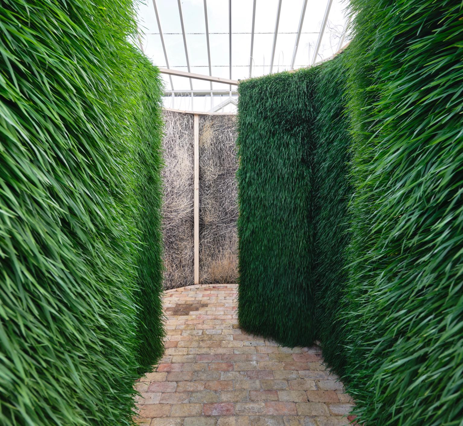 image-e202e804075b3e691770be60d03b075ac0908e91-8686x8000-jpg