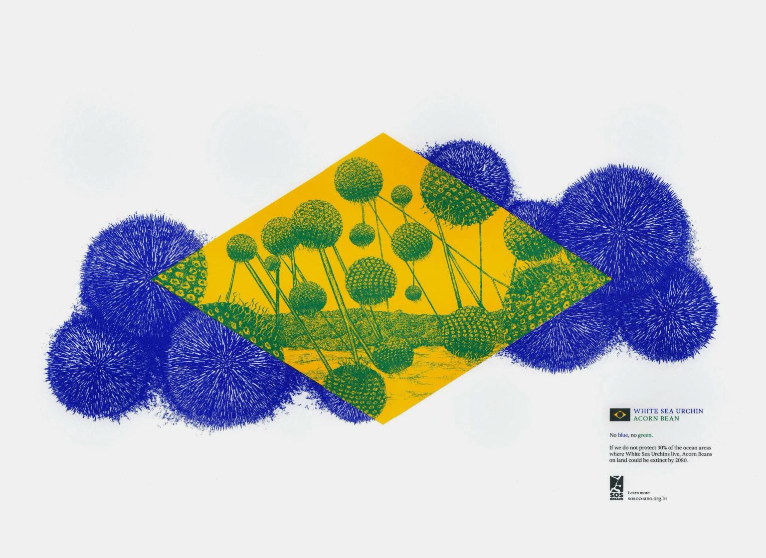 image-e35c8989dd391621aeebf7ad986bbb926e5a307b-2560x1867-webp