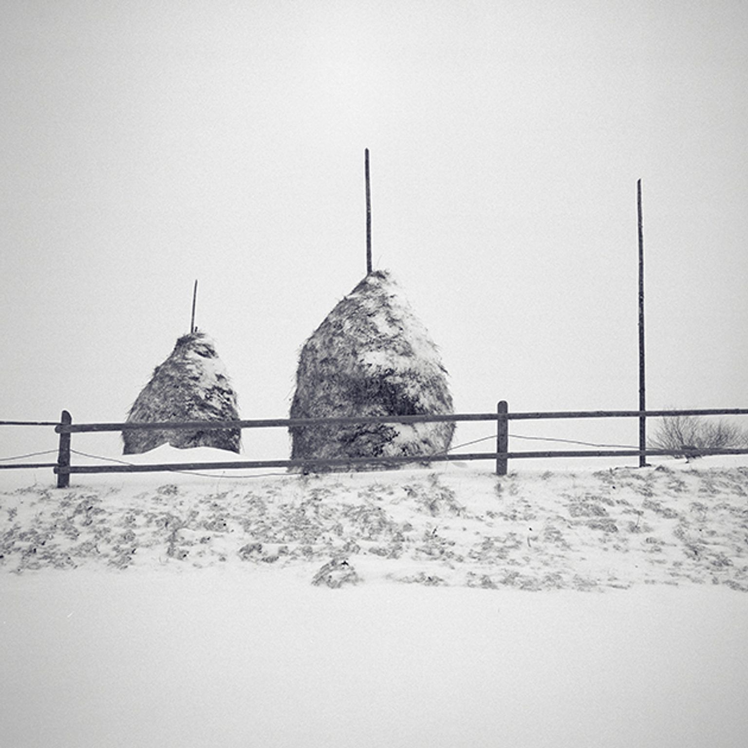 image-e519dd450e734687509c825a323365bb7edbd308-630x630-jpg