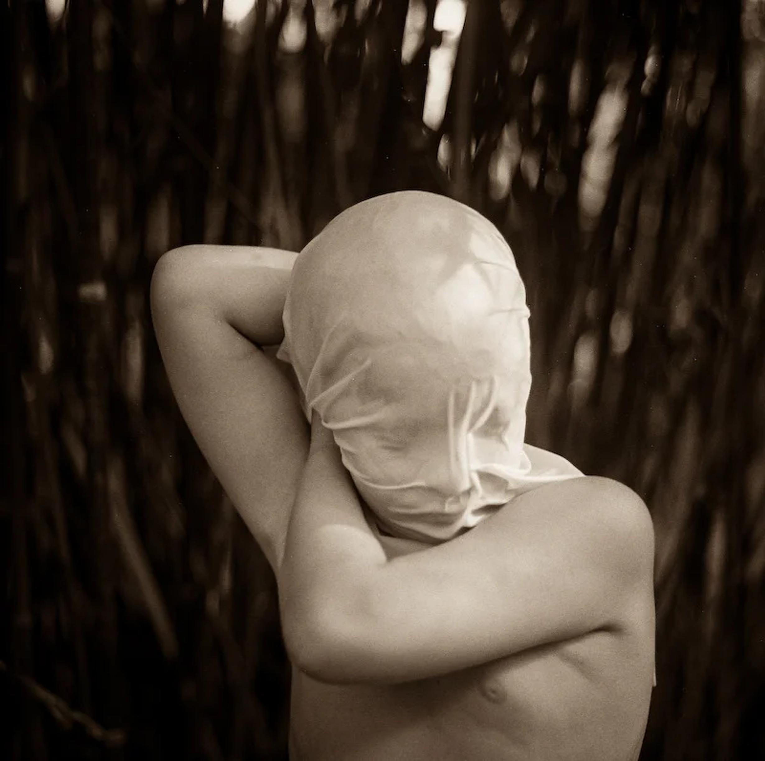 image-e66750af723758624d64b77ea115f13dca8776f9-800x796-webp