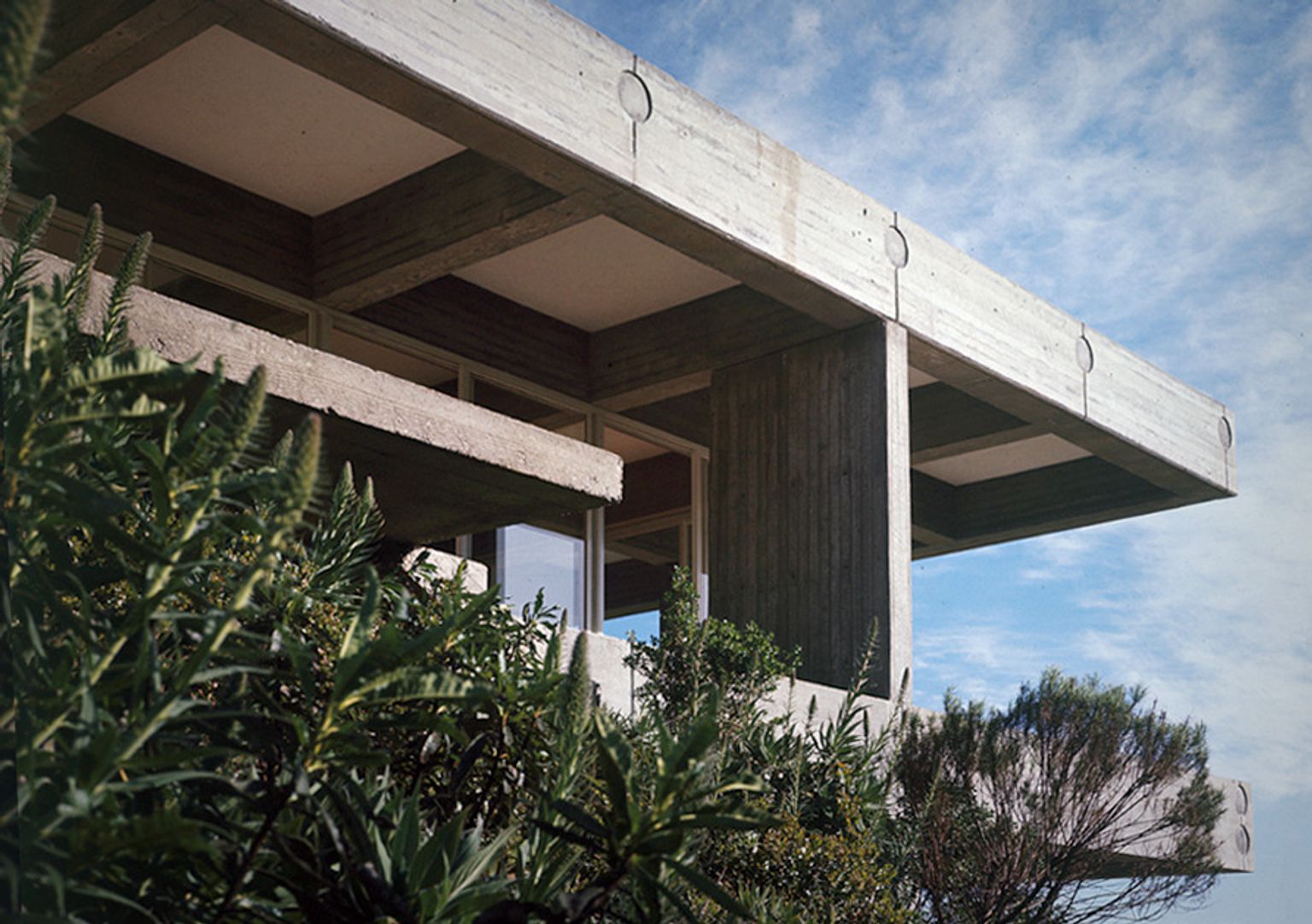 image-e74f5f660b67009a57e0cc8f9a5e448ff14b2f41-893x629-jpg