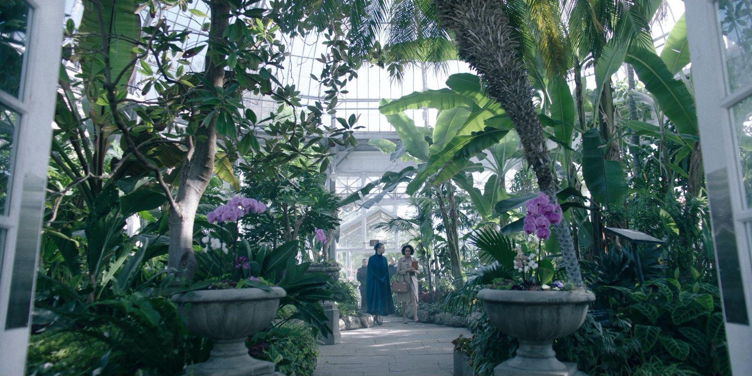 image-e8af9f4416e64de978763ebf8ac2b33a766457df-1920x960-jpg