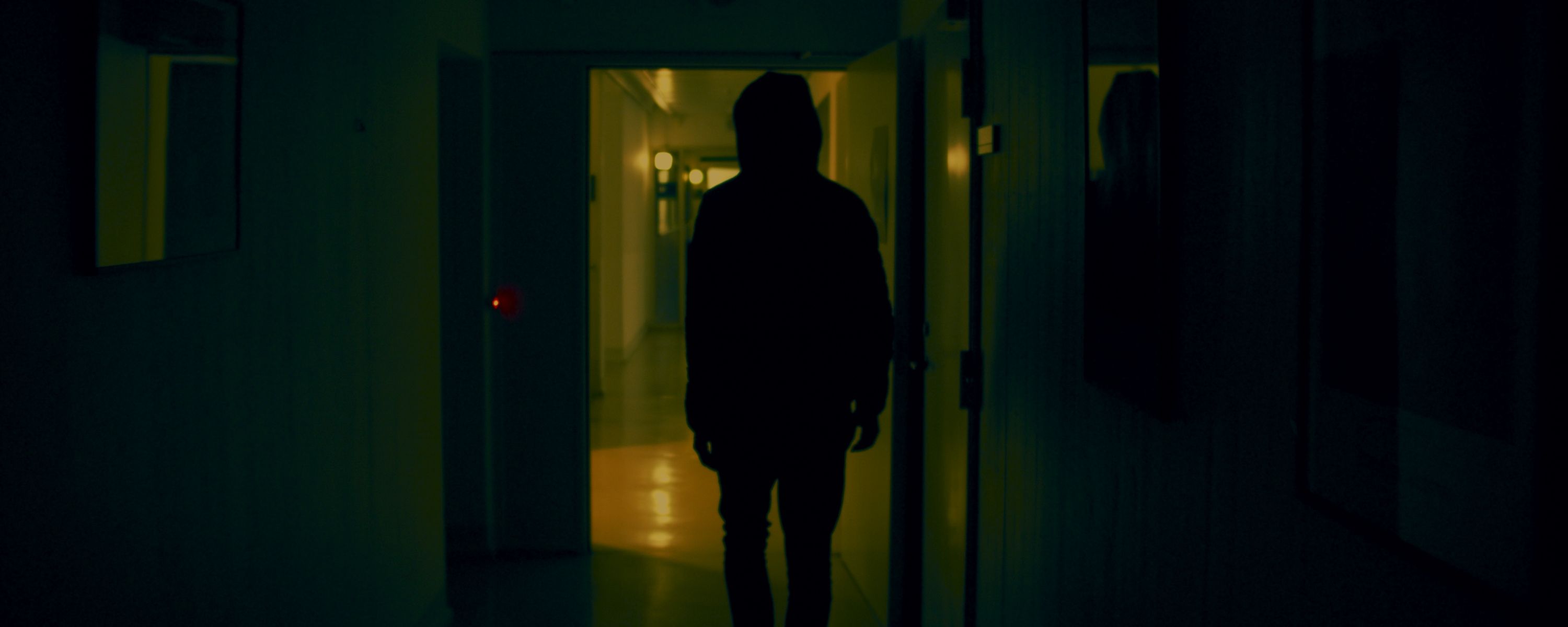 image-e924c8dedef466d130d56e378f4b364574773013-3000x1200-jpg